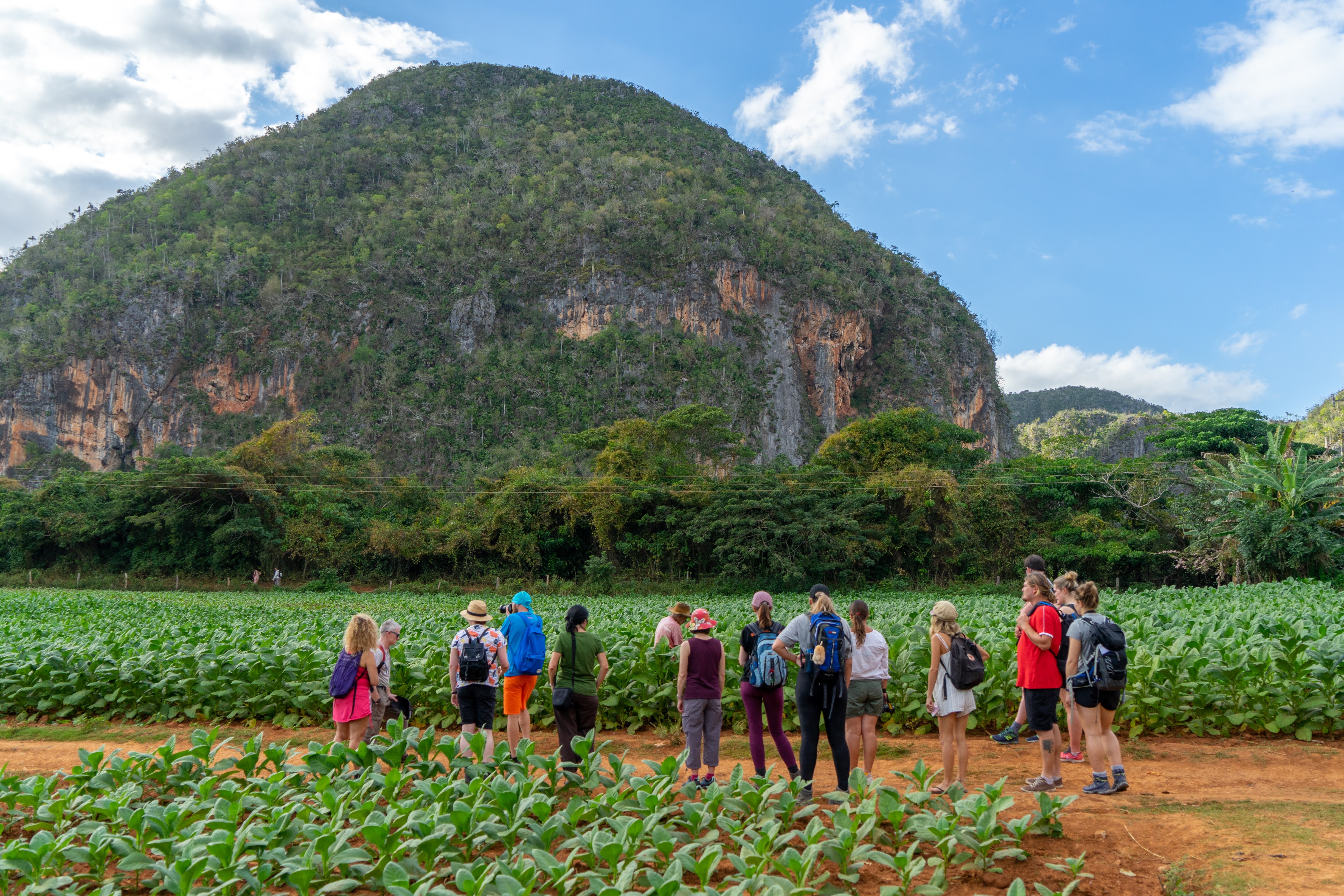 media_PLCBM2WGH9QJBMEH