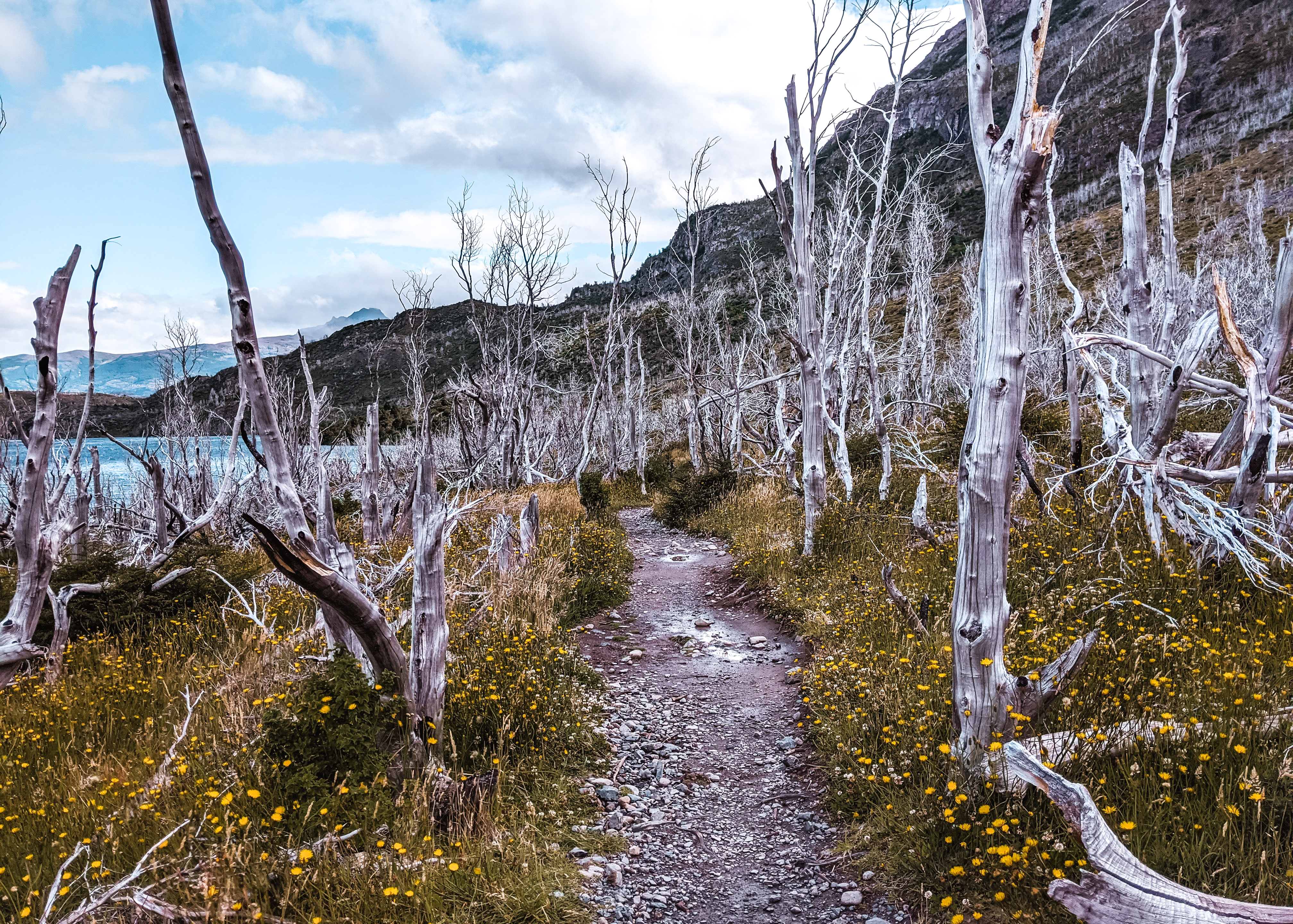 media_3WGRK6DC5F3SLV7M