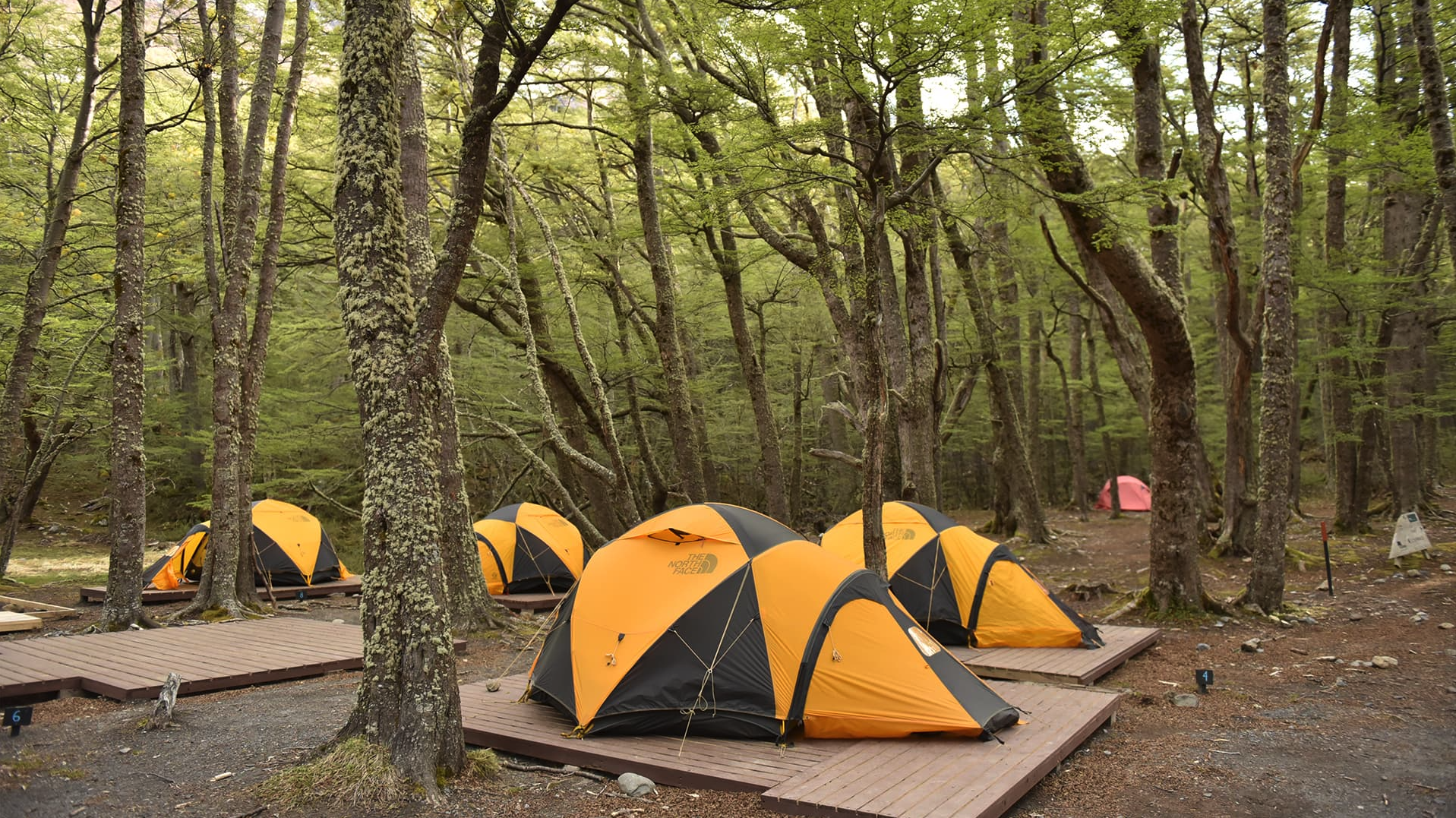 media_8BAHBUA3W7CULM8D