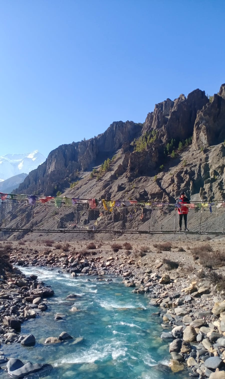 media_4TN2PZ68PWUUBBNV