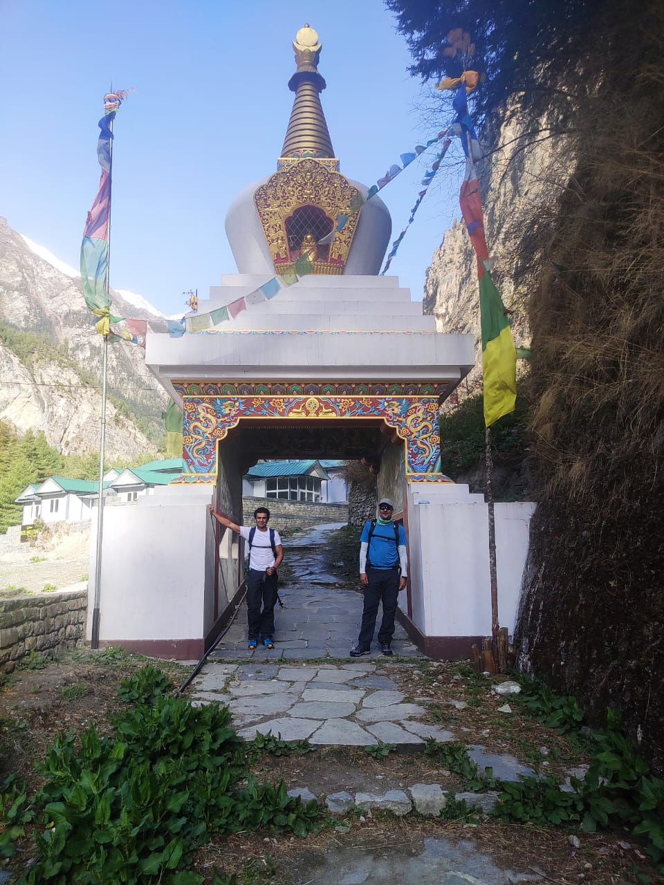 media_CDPL5MF5JJA23TAQ