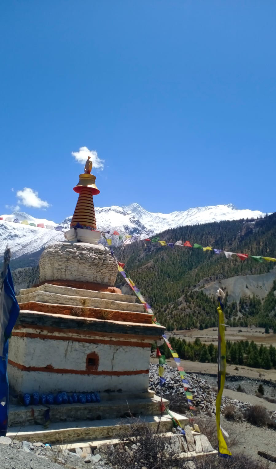 media_FQMT2UNMPPH2Q863