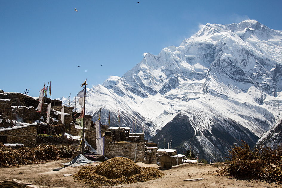 media_M74UDPB7A4EAQLHV