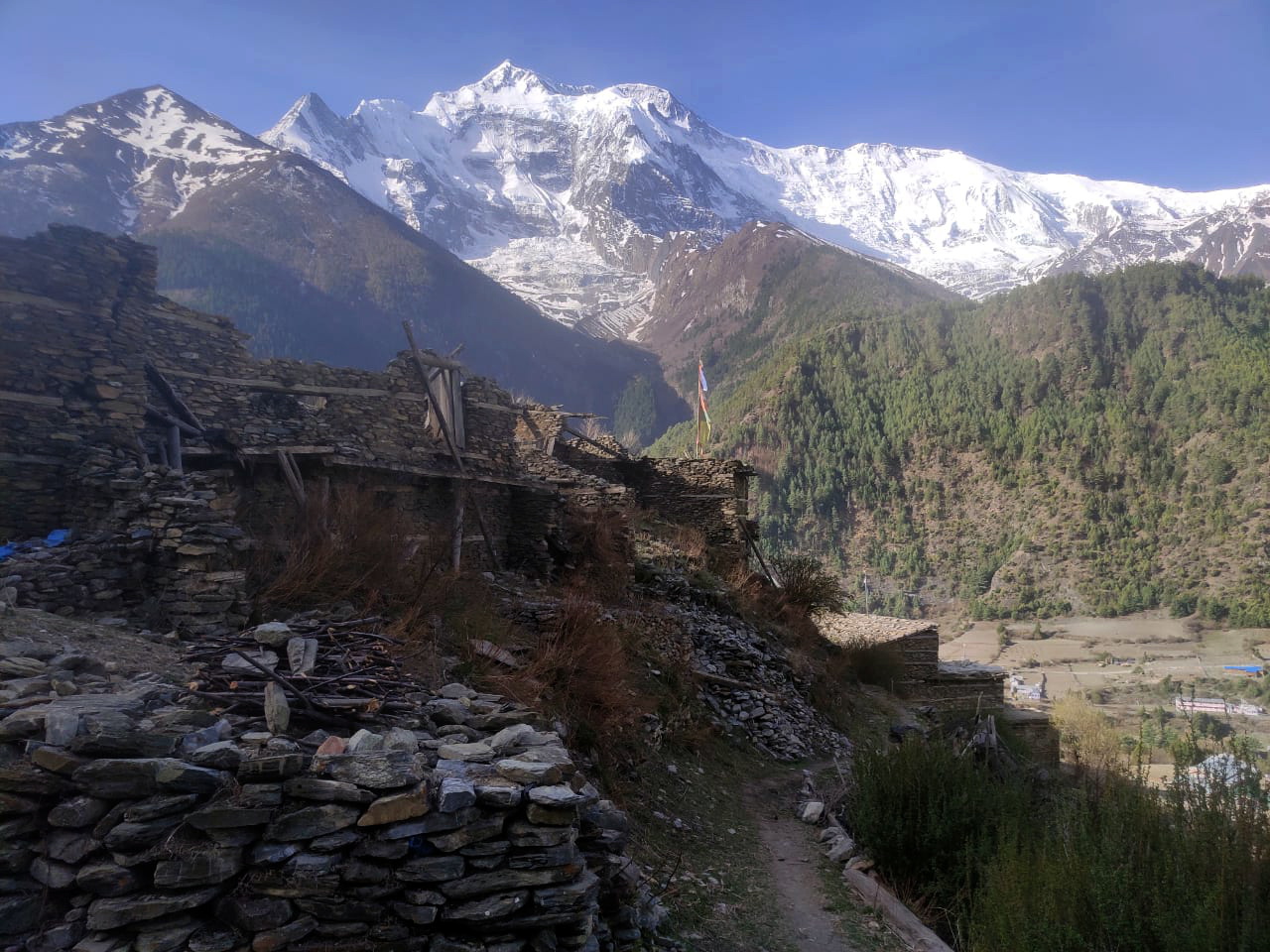 media_STHE2XAJTRNCNBTM