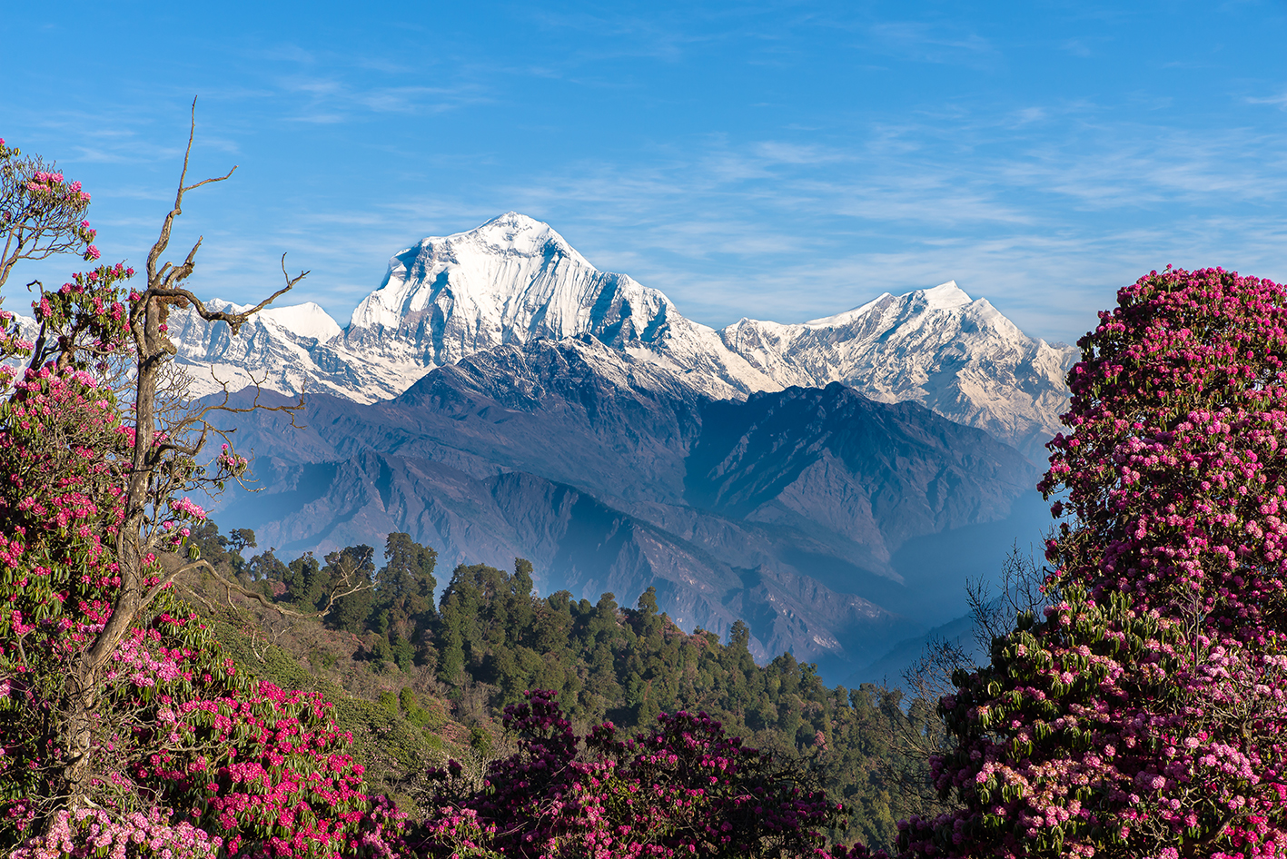 media_WFG877Q8VHMDB37G