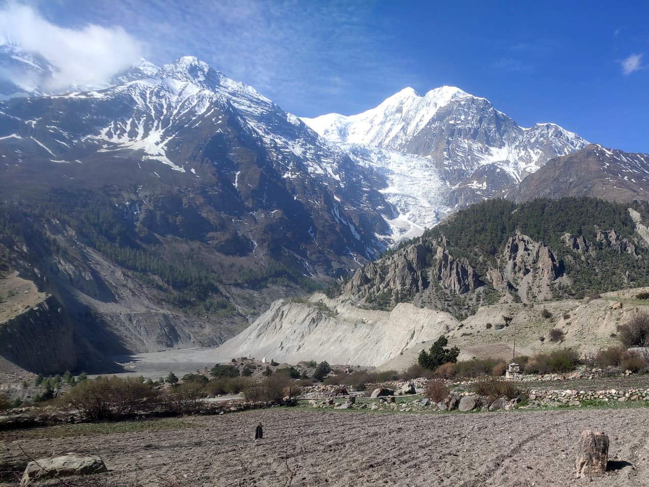 media_X5T8B9AJYKJPCPXW