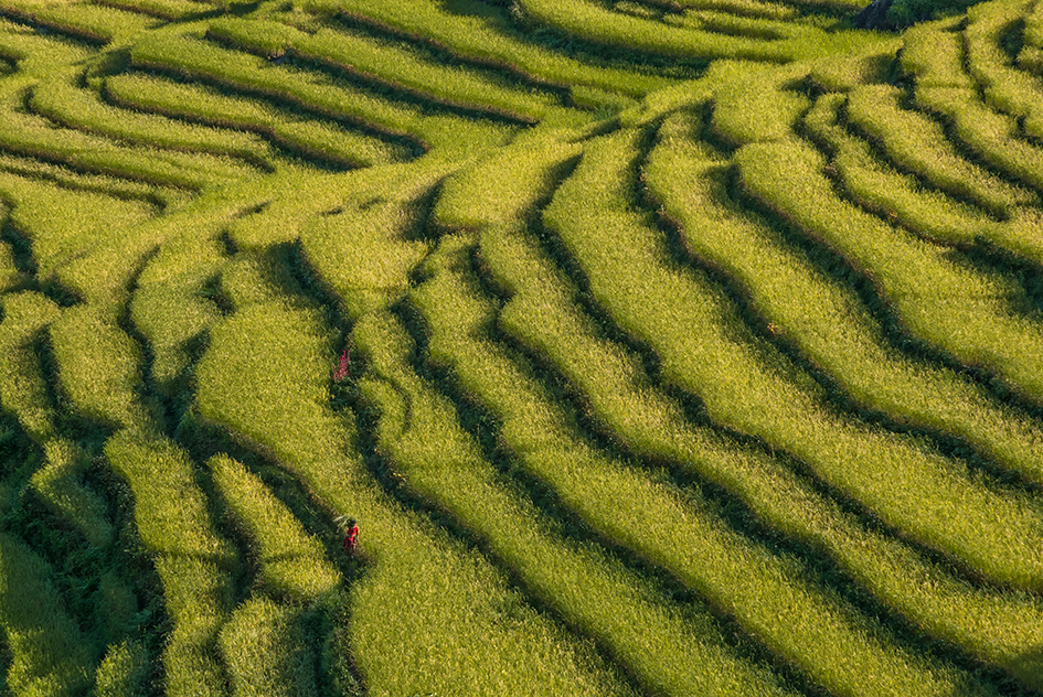 media_YC967MQN36Y7QU3H