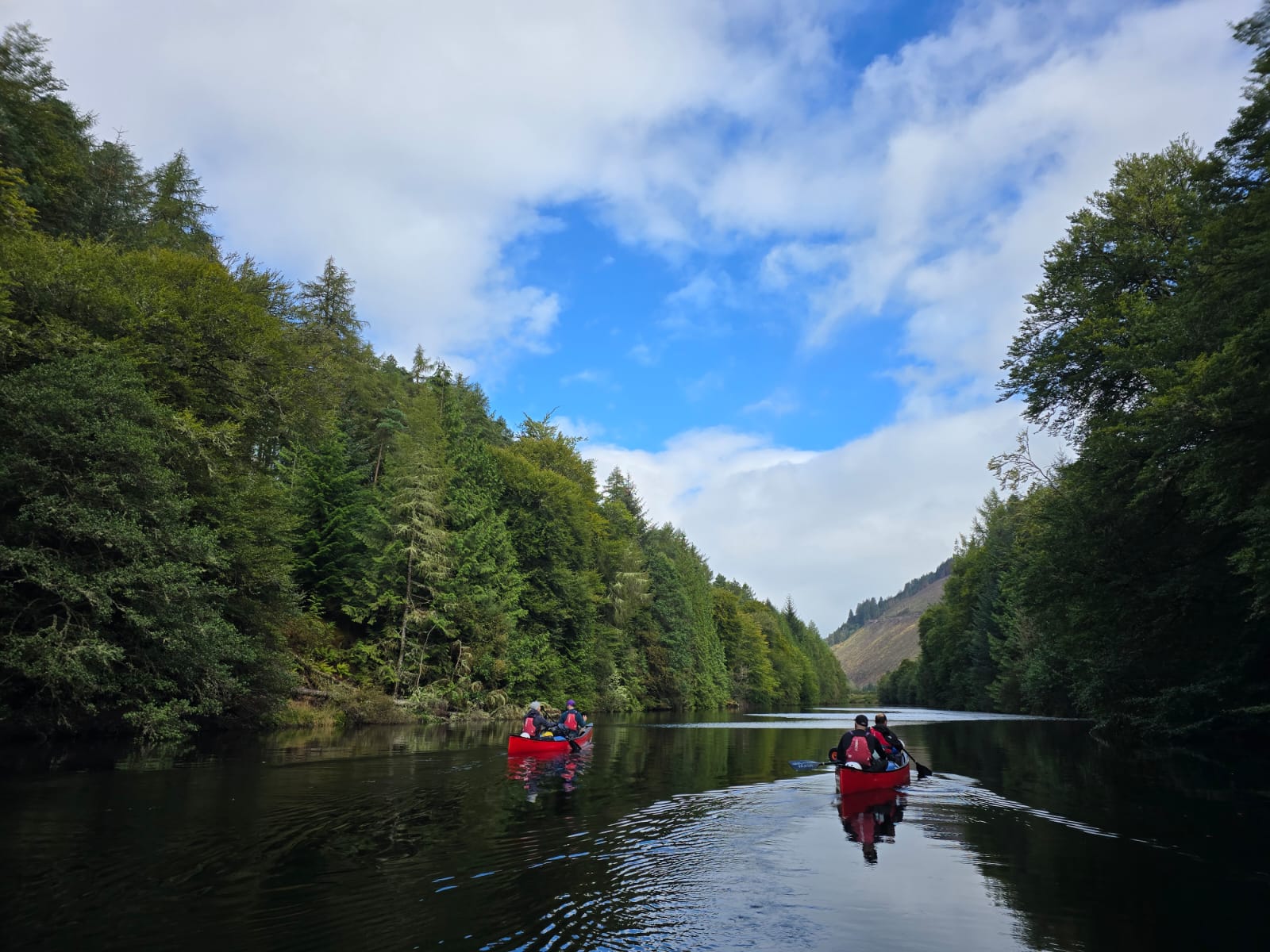 media_2T4CAZ3E4RCURXLQ