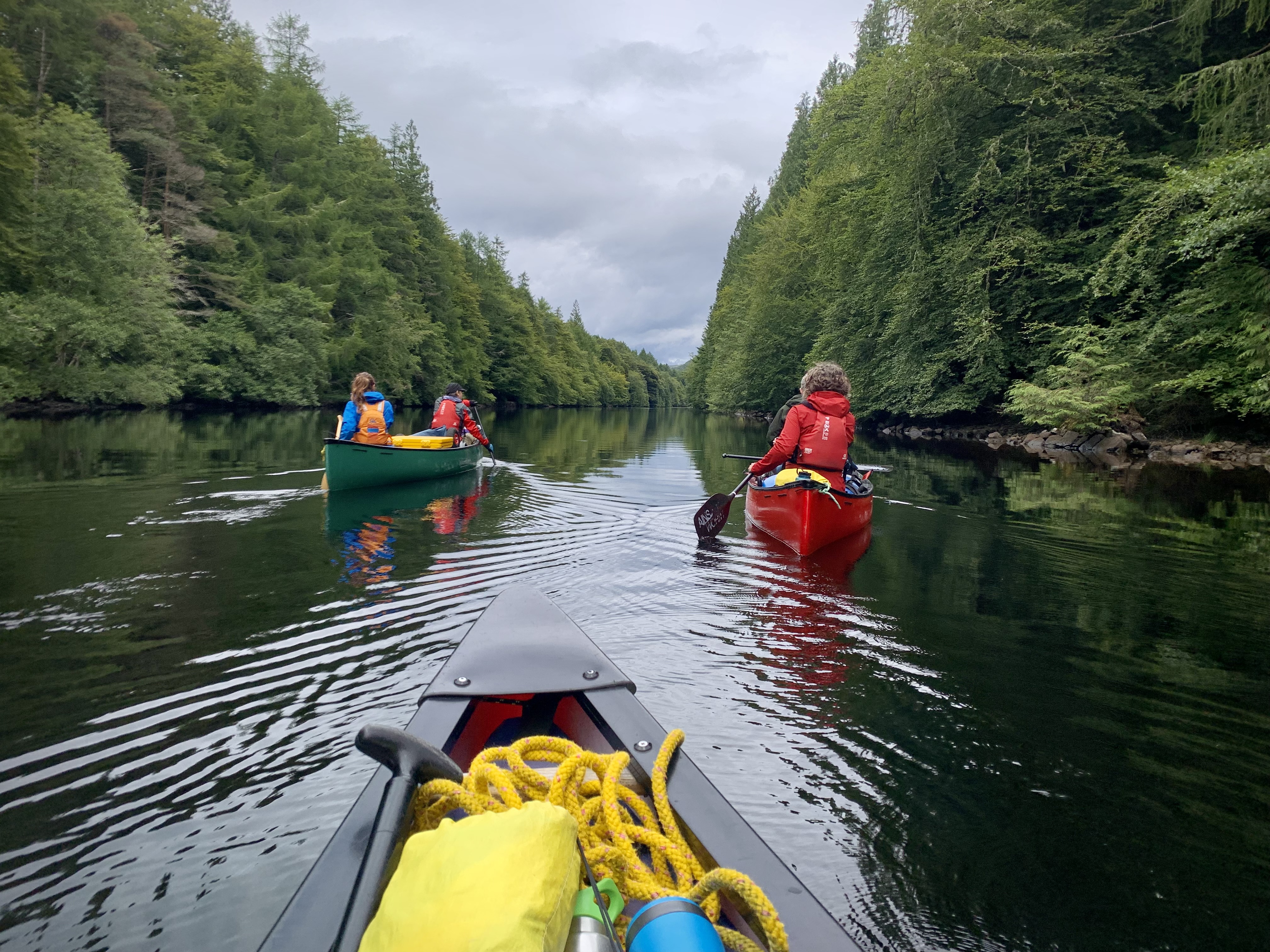 media_43EU9P3BYYW8E5CC