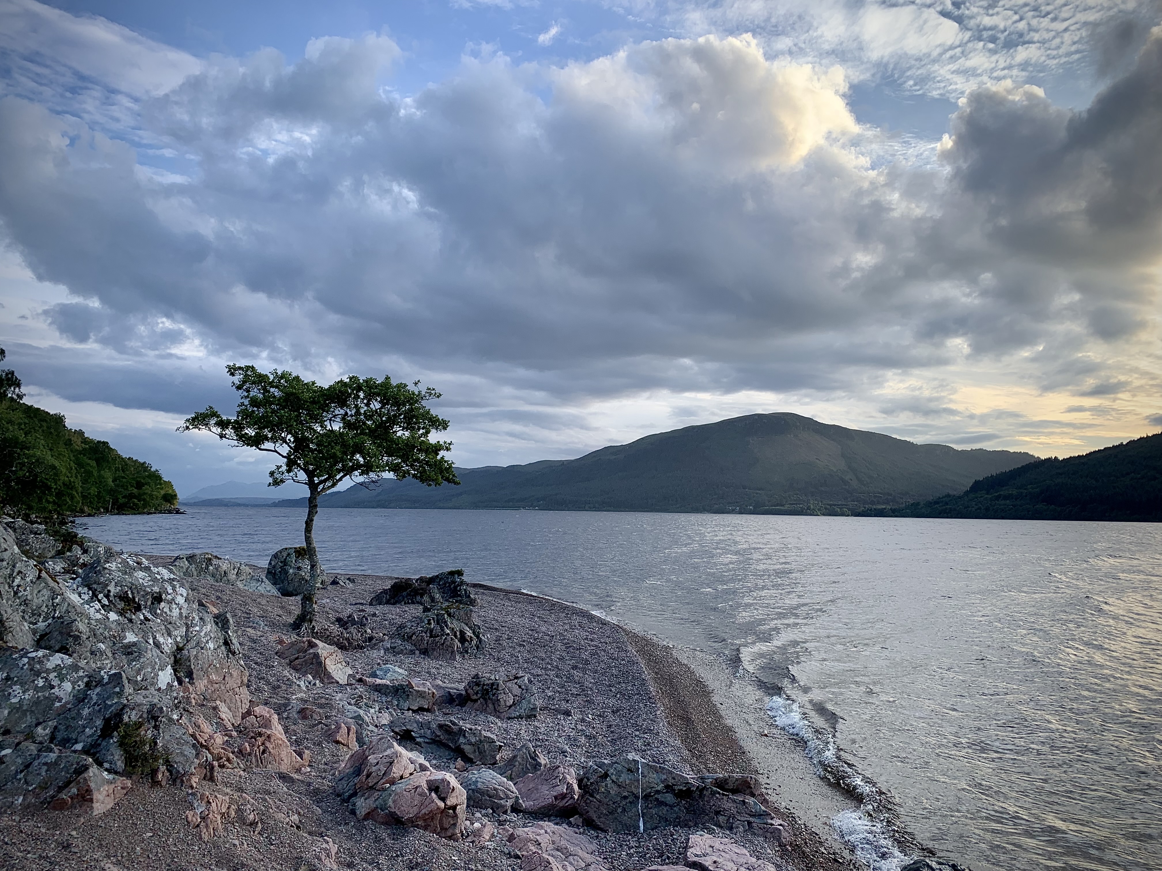 media_5XUJ4YHY79CG97WE