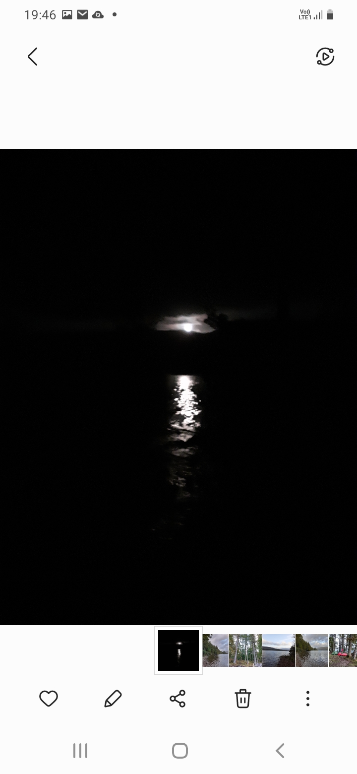 media_DUMKAJ46VYGZCJYM