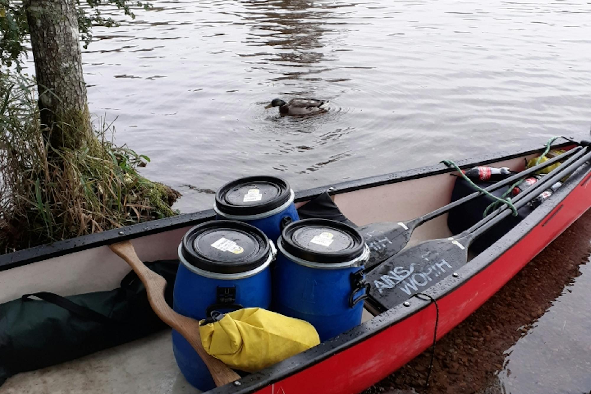 media_MDYJJL68GCQXV9QY