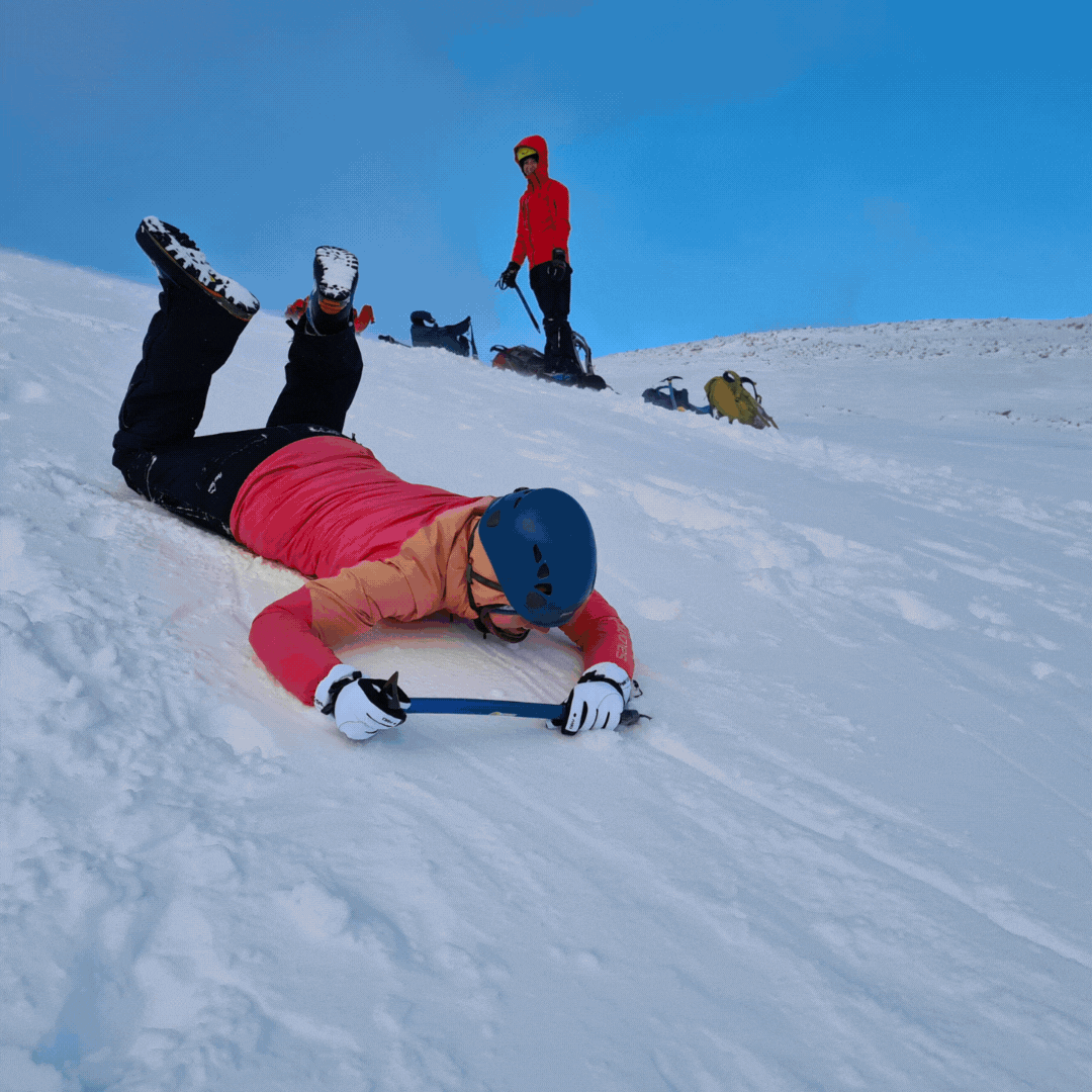 media_N2F6V5VFNQZR2K6D