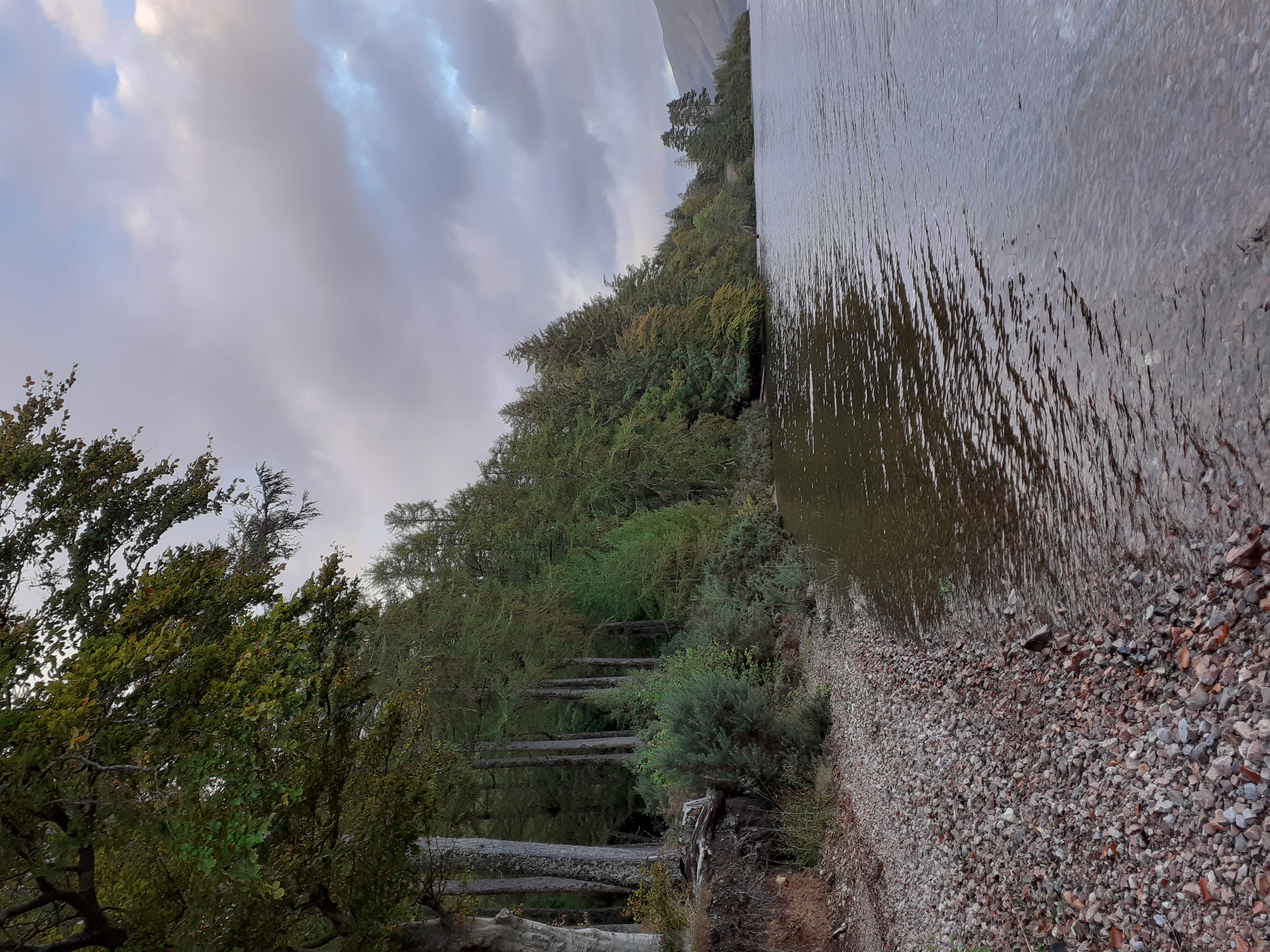 media_PTPMQR2JWXTA3DMT