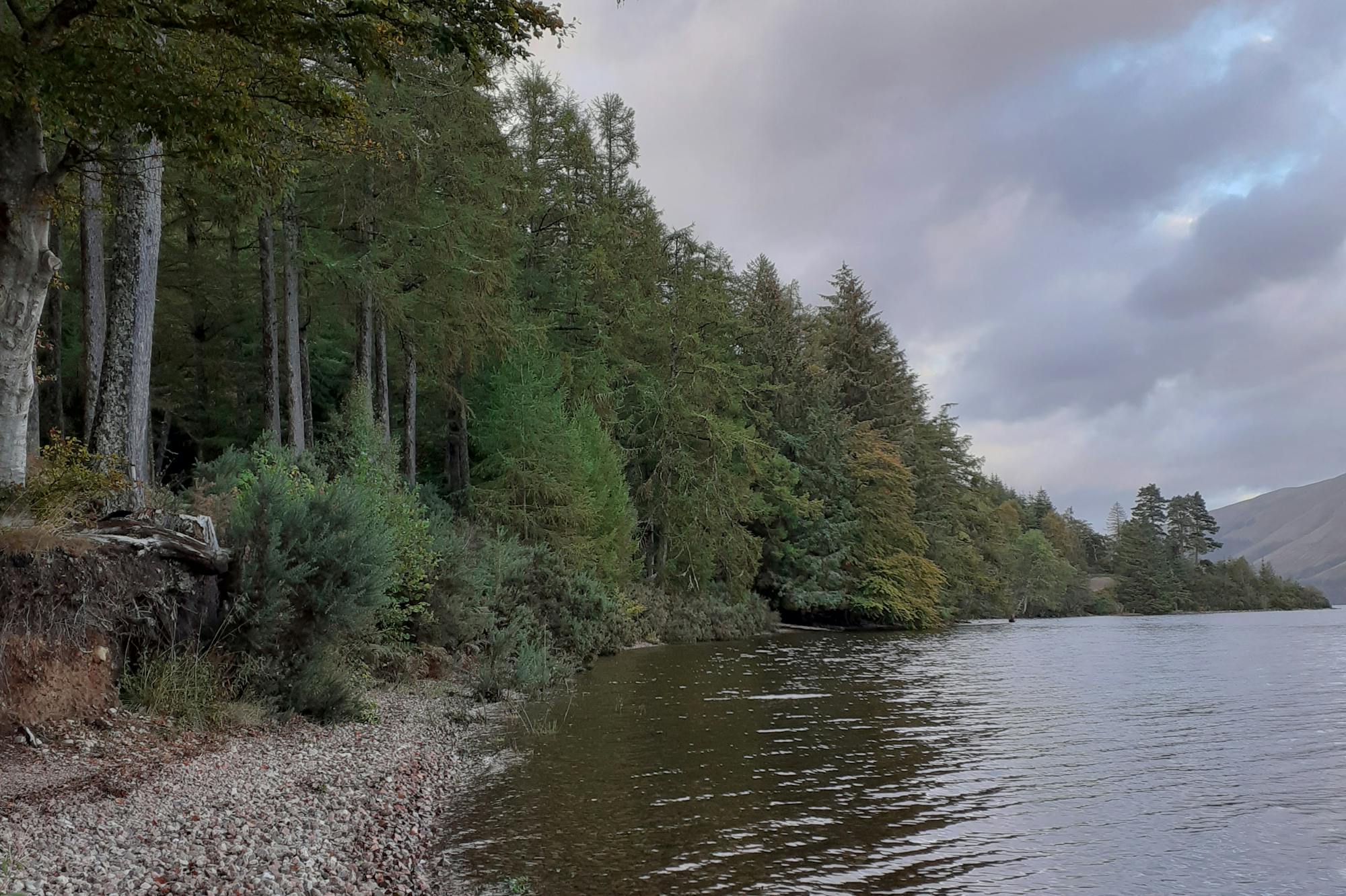 media_PTPMQR2JWXTA3DMT