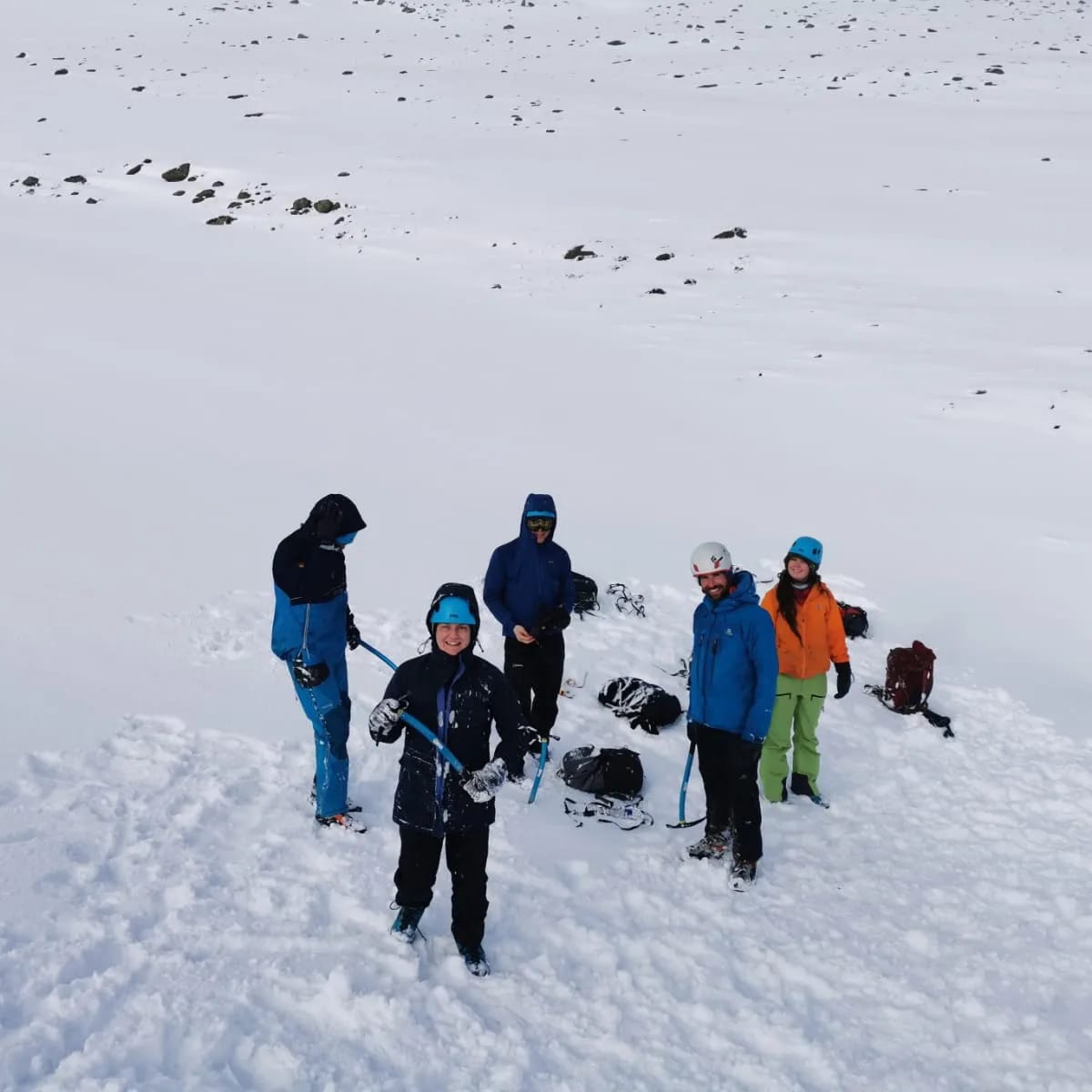 media_WM4V8JE4MGHJ2FDF