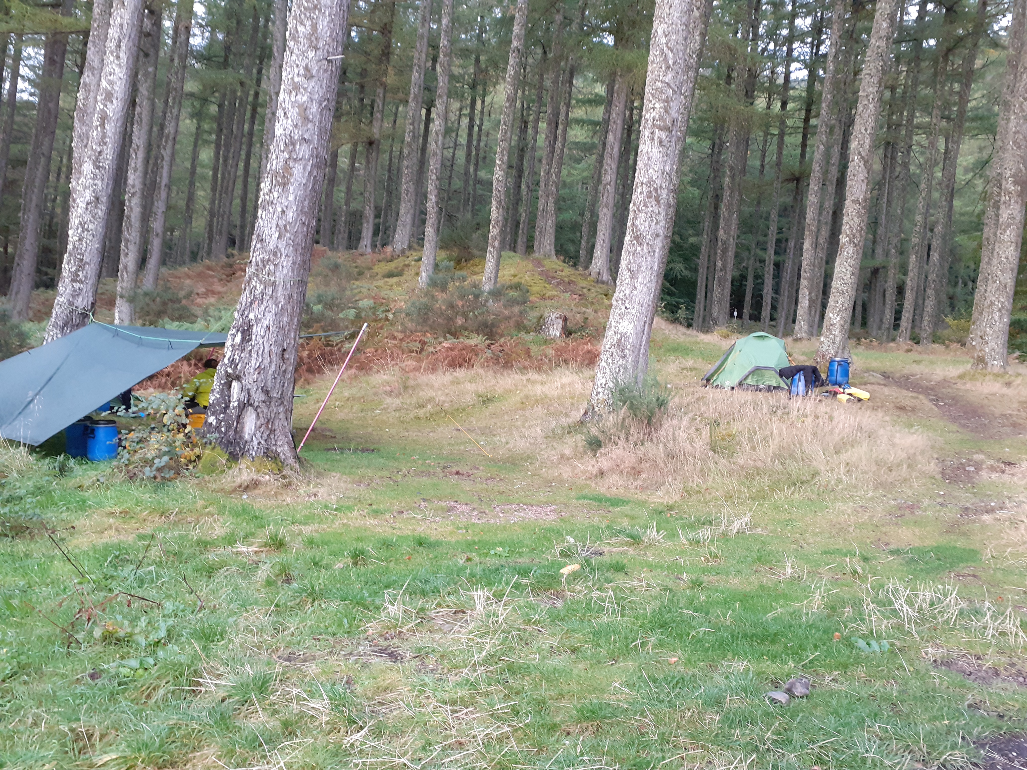 media_WVYPN45WAZXGR57W