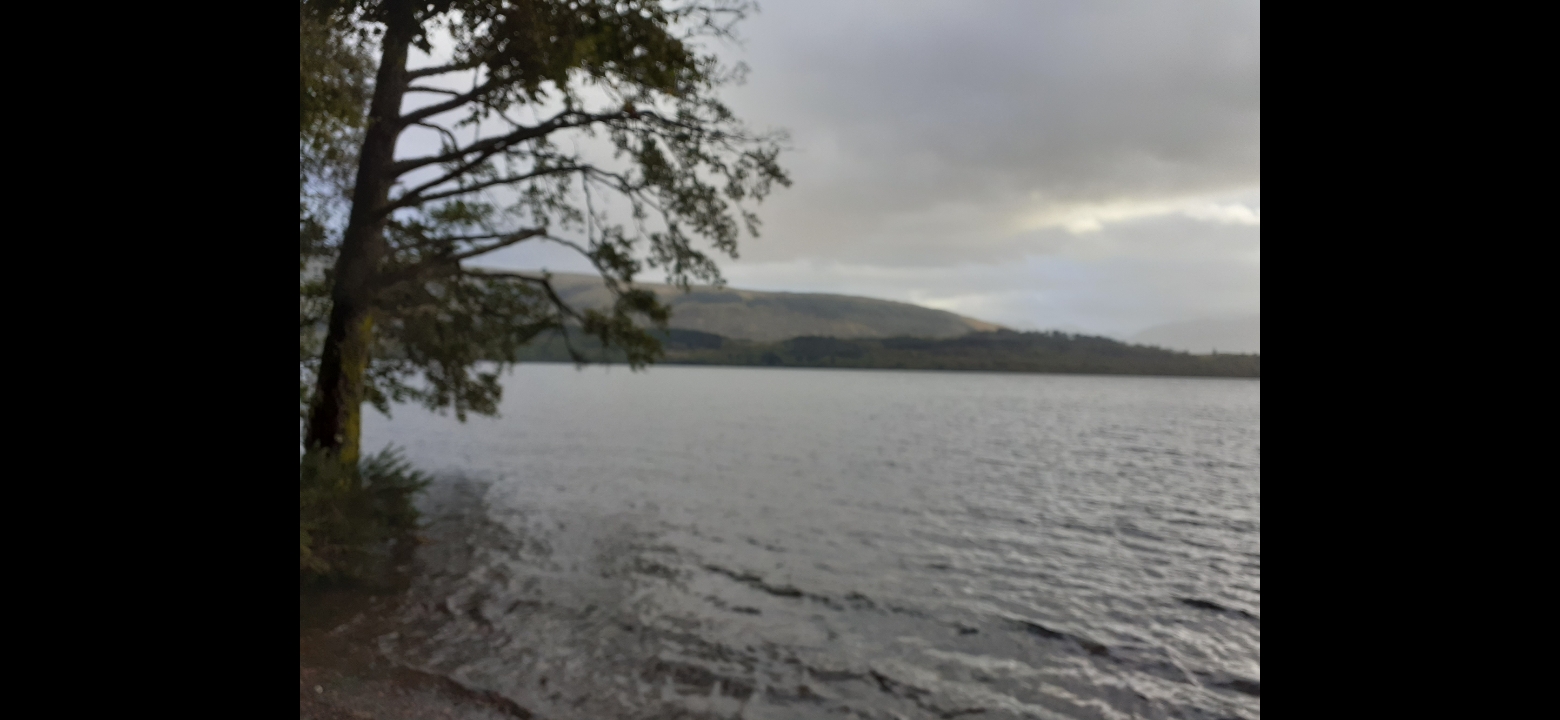 media_WWY6FRYE2MT6AGZ7