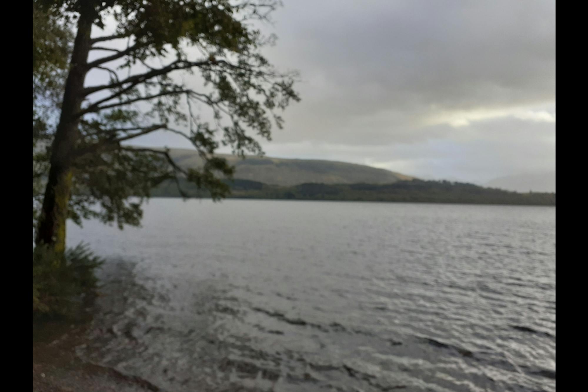 media_WWY6FRYE2MT6AGZ7