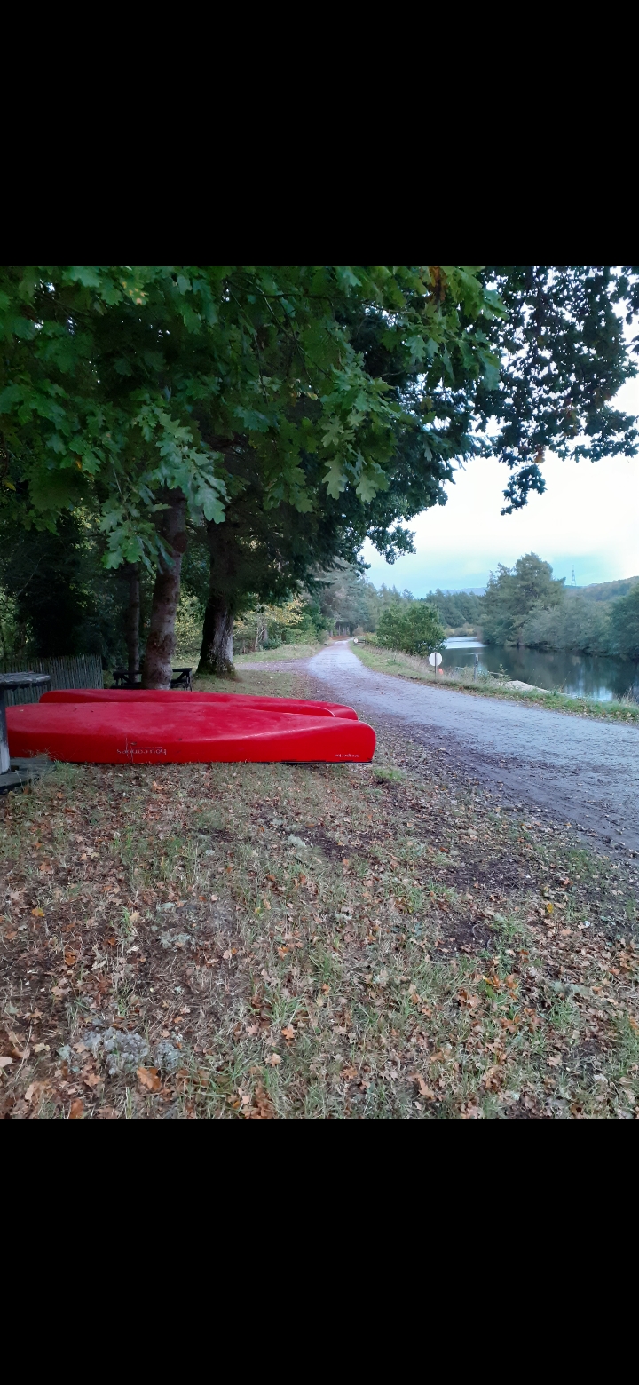 media_Z2Q8KF86WPH33FGL