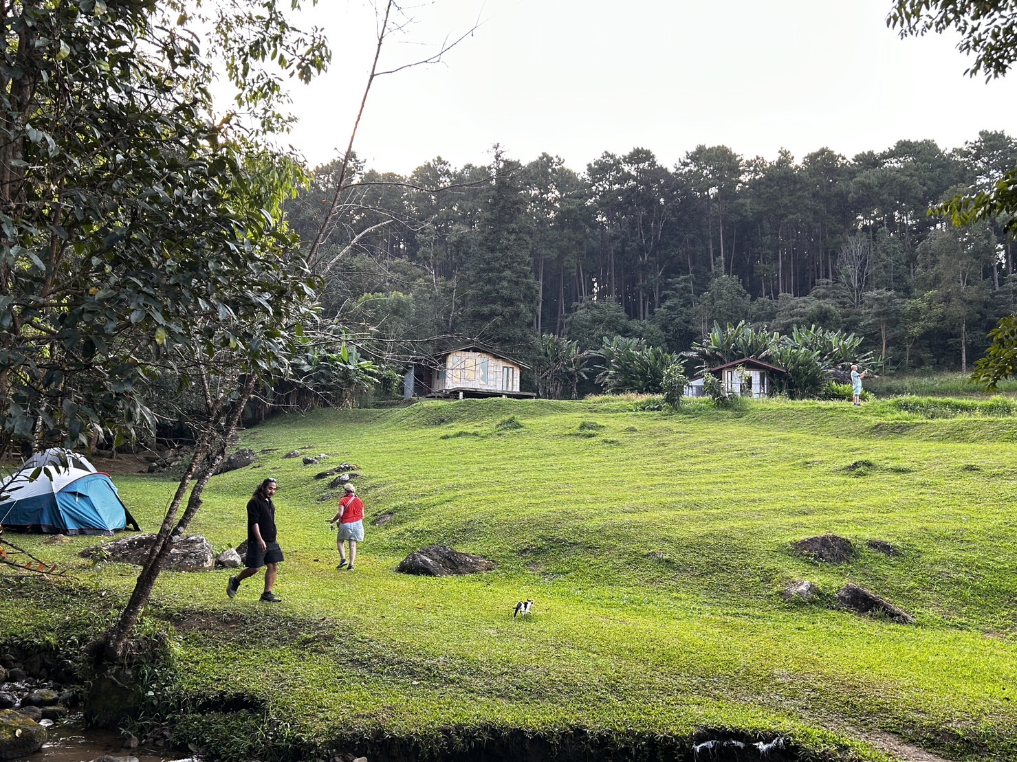 media_2CWY9P6DW878LHKZ