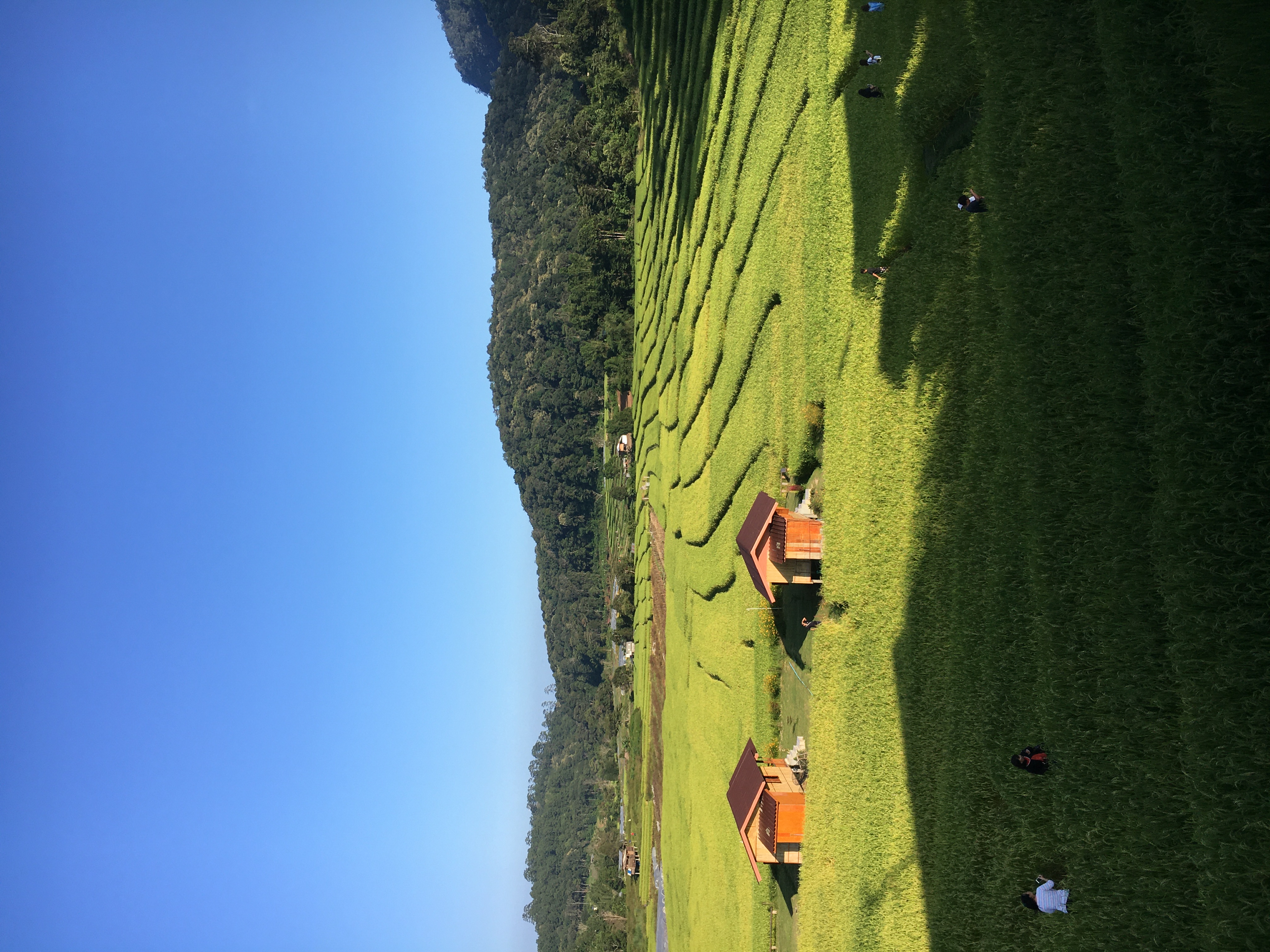 media_5D7JFLKRSBNTCT3A