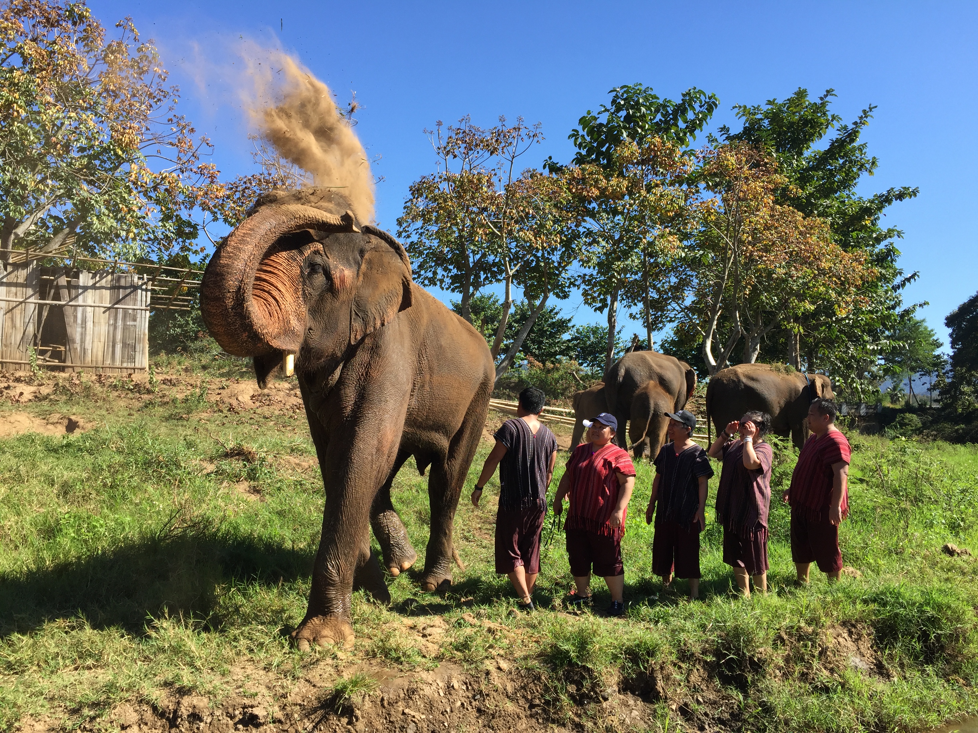 media_648B6ZV29ZACHGRJ