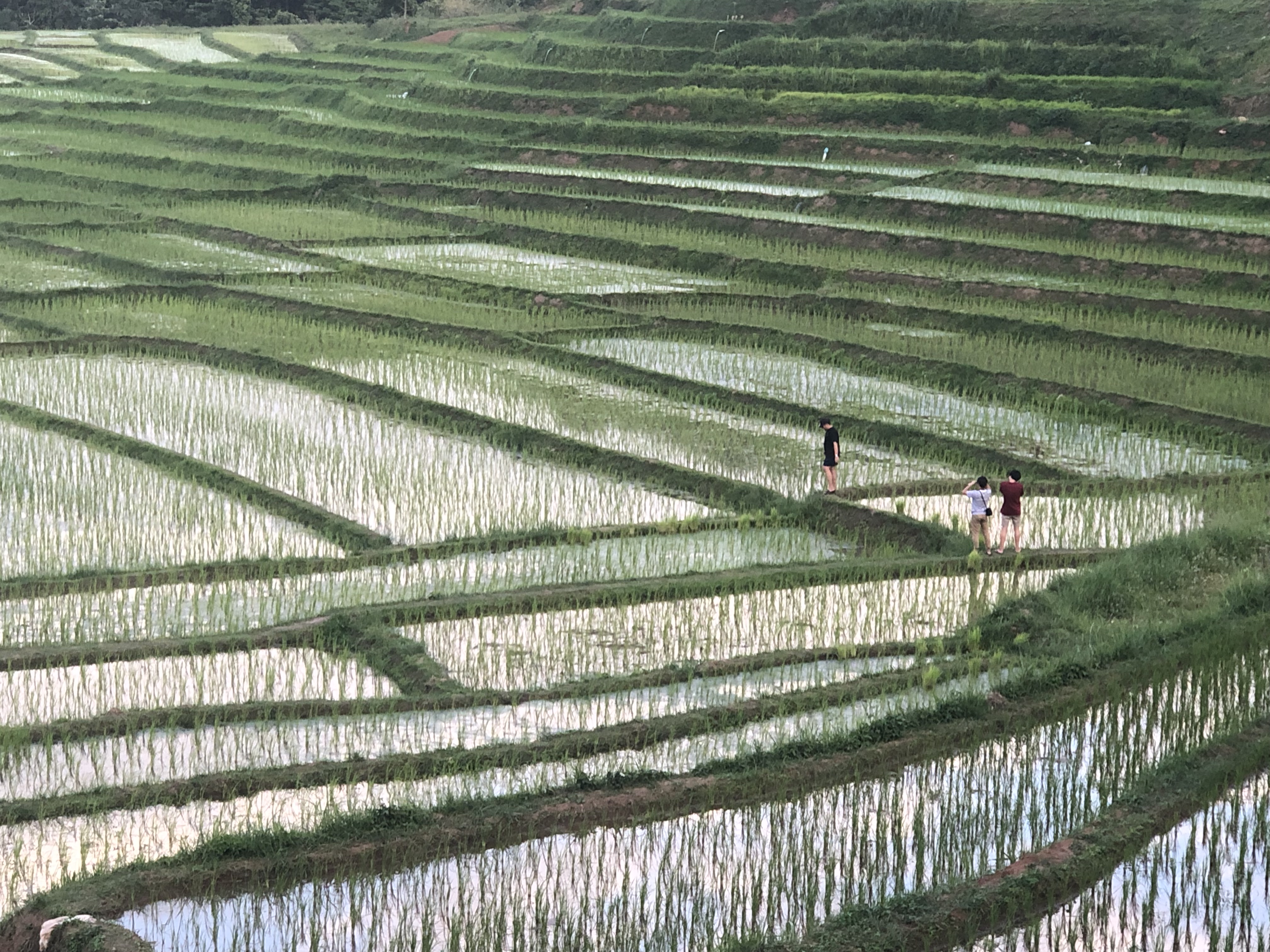 media_6LGXNQDRBDMD8U6C