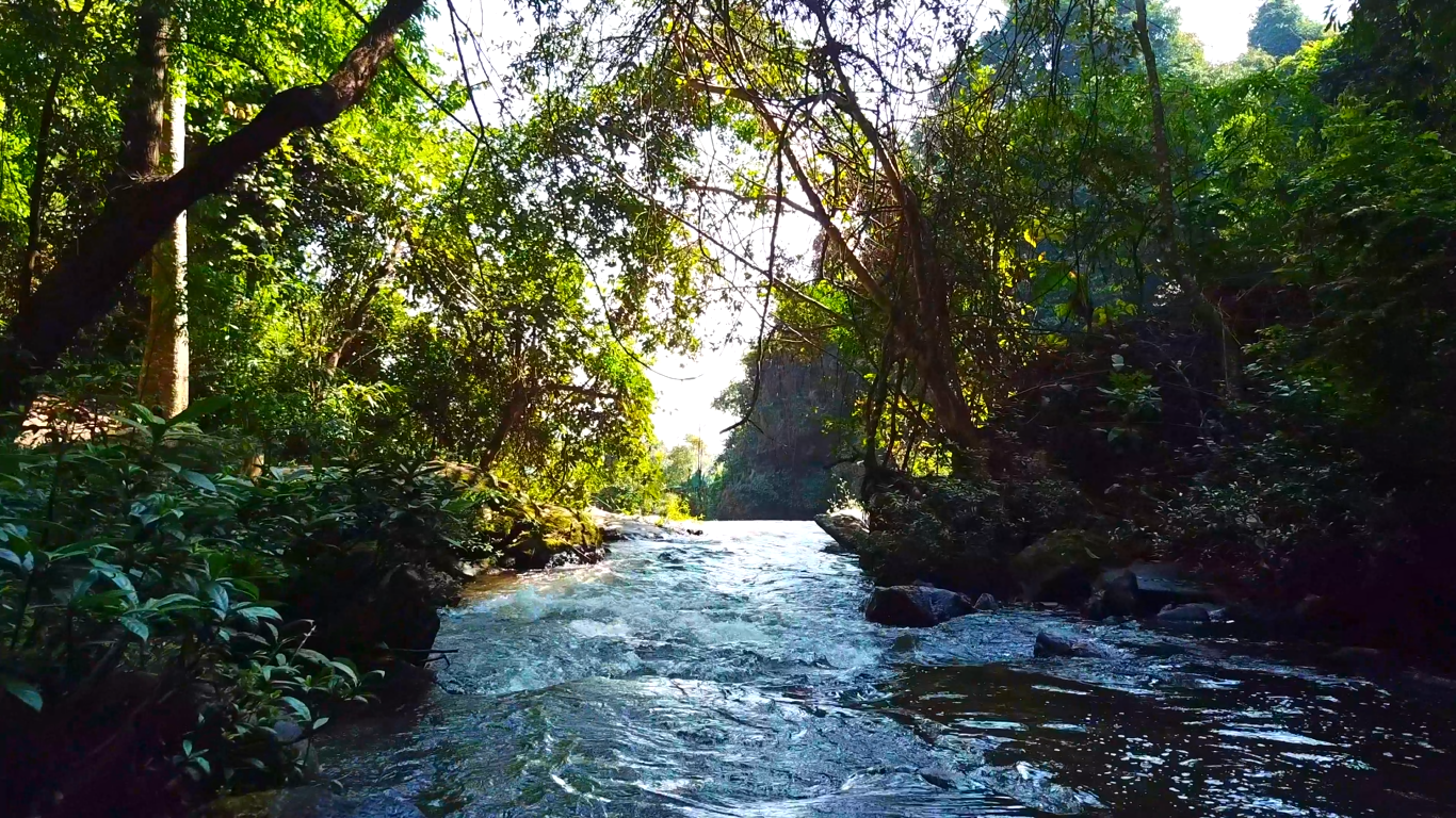 media_932EKS6QXVLLH3DY