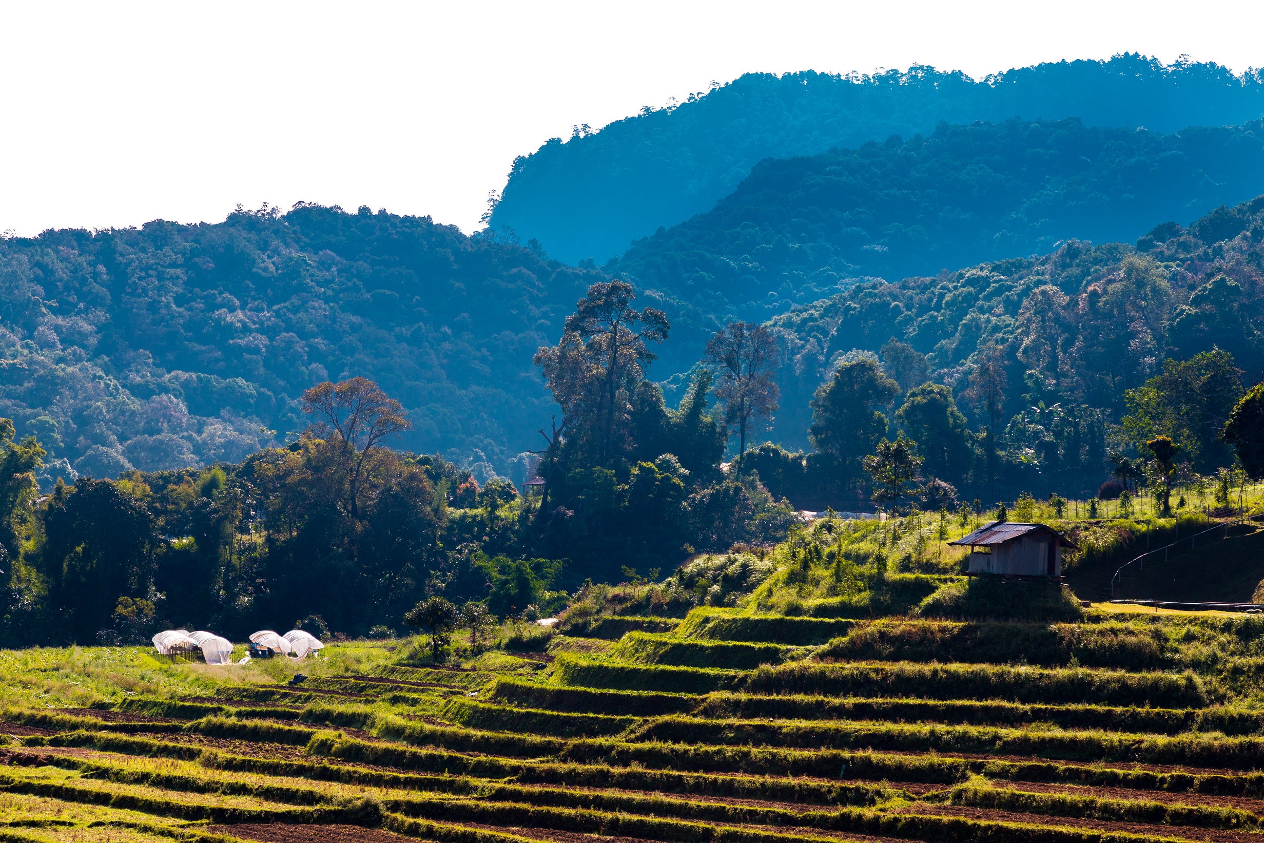 media_AL7PWP74APDNWEDV