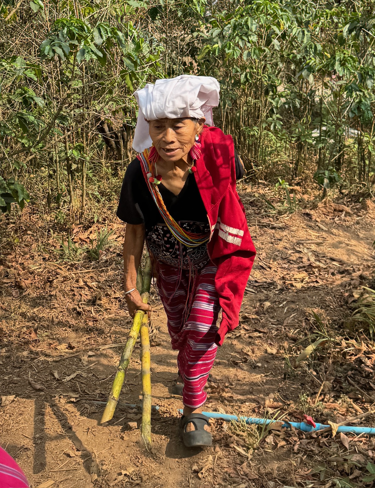 media_CV5K9L4E6JKDYHXS