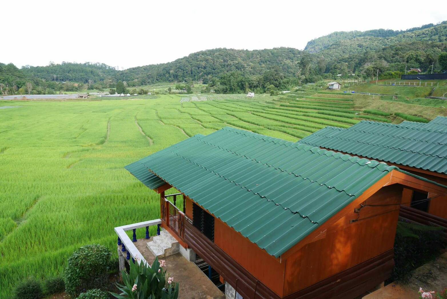 media_K82R9XNPSCHWEN5B