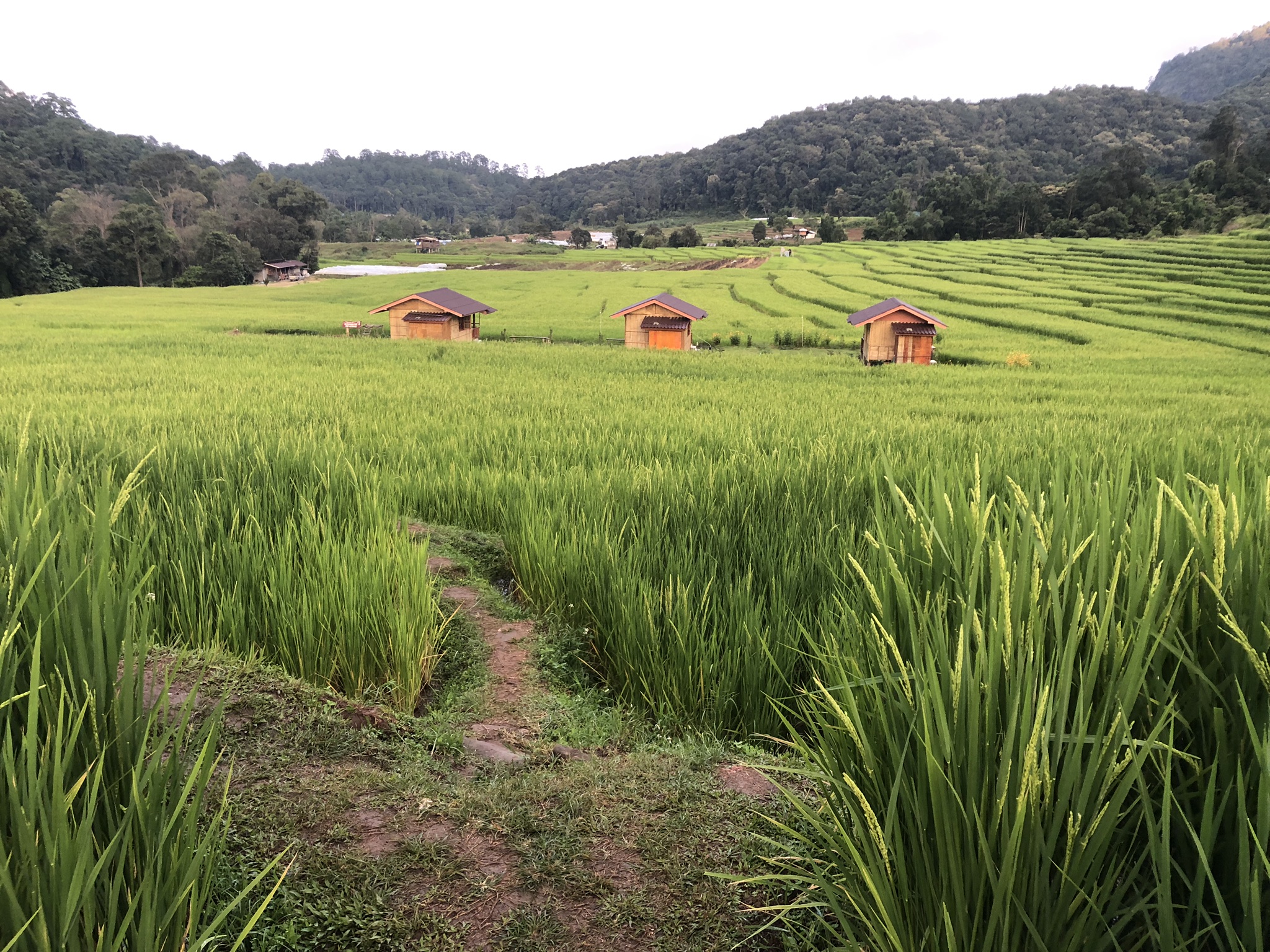 media_QYGC8VG6696YQTRM