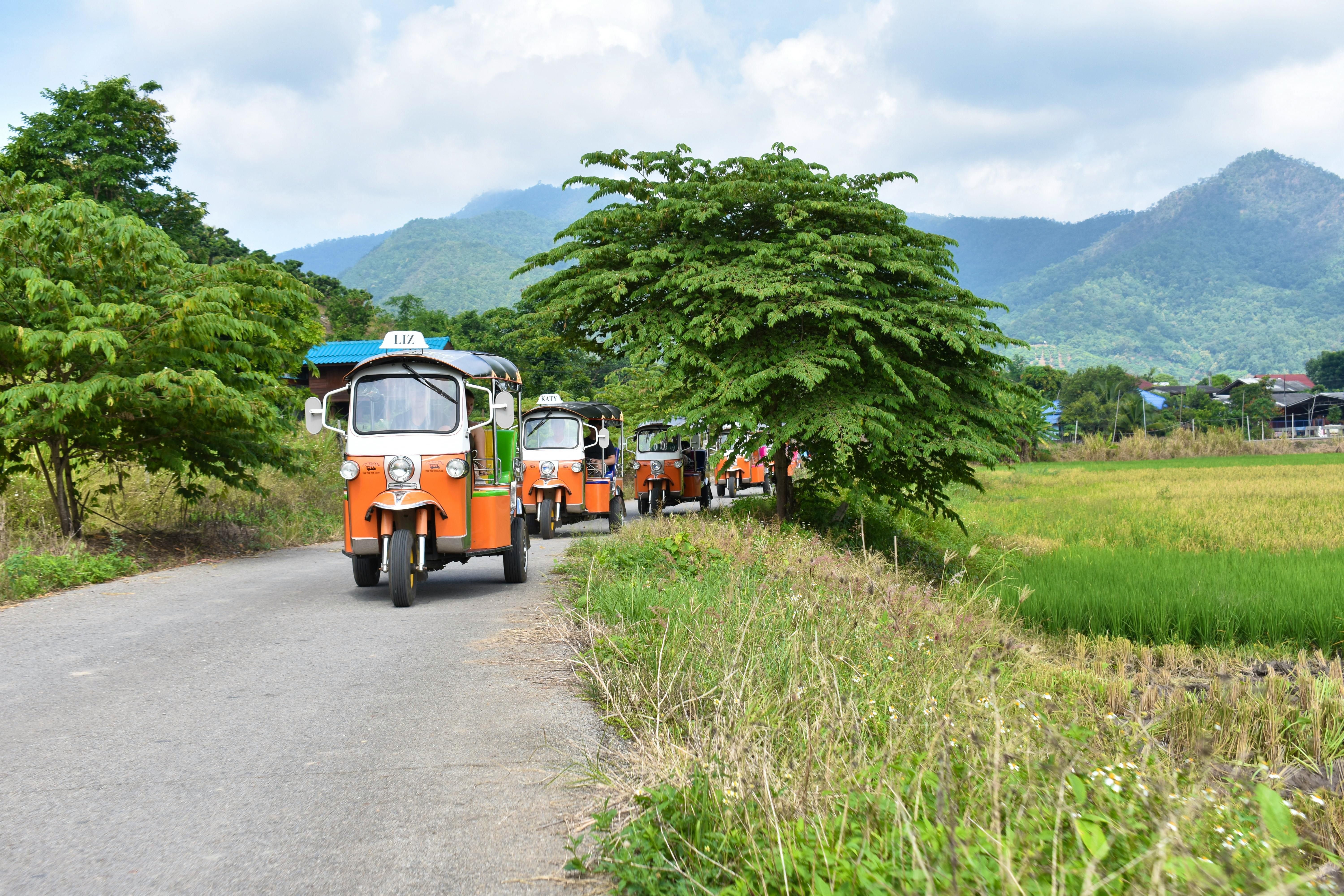 Chiang Mai Tuk Tuk Adventure