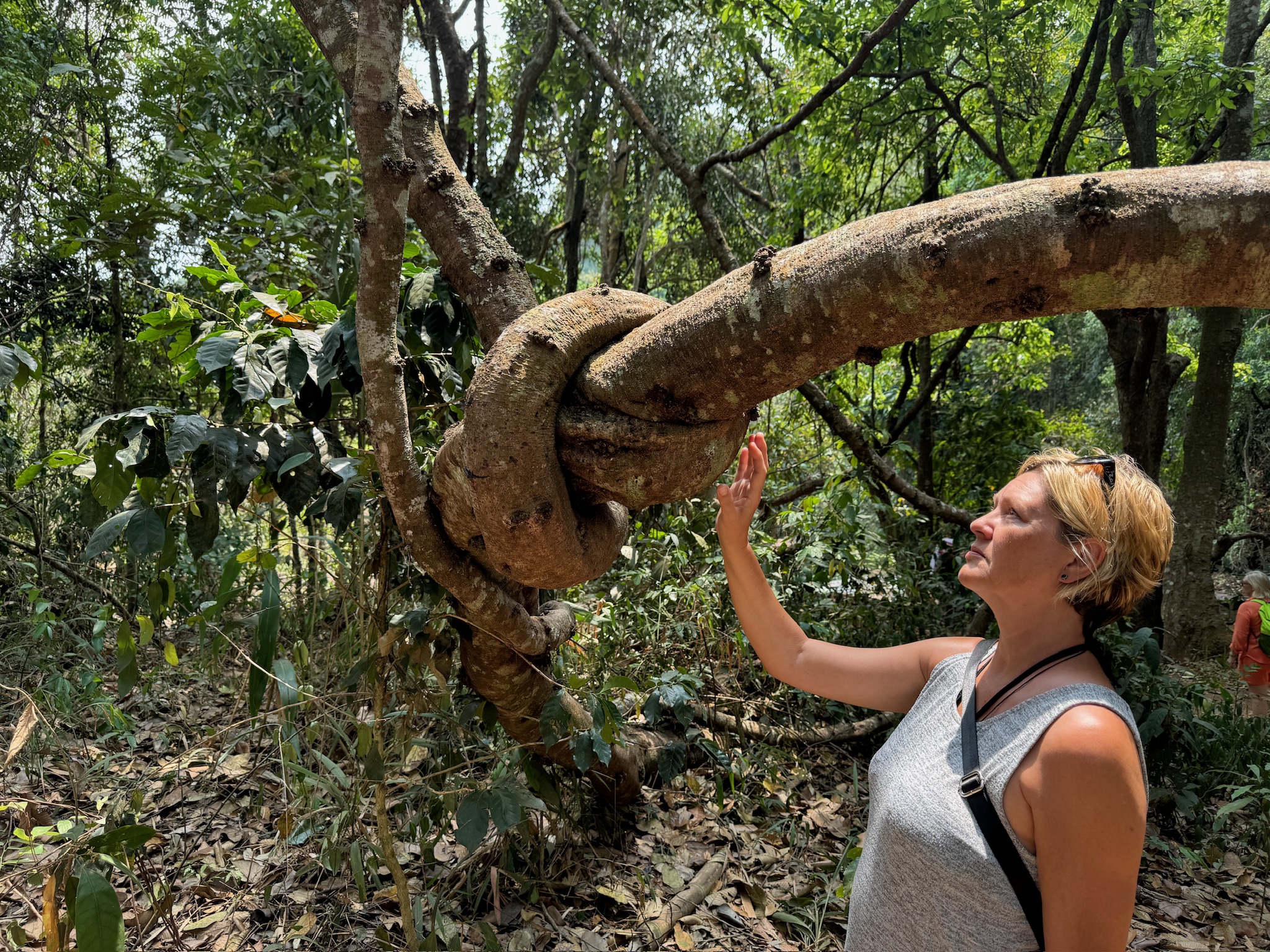 media_SE29FSKFUWJR449D