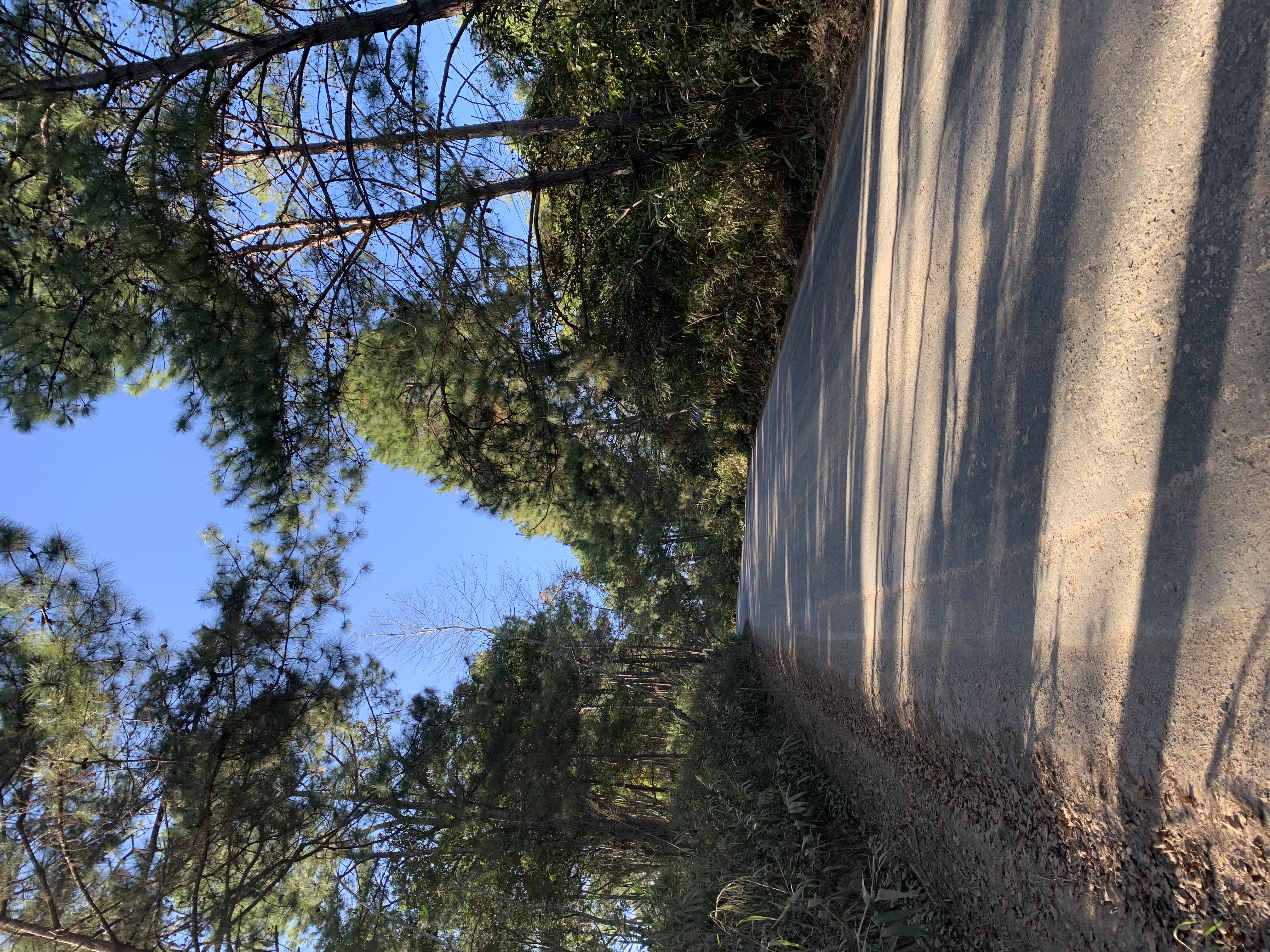 media_SMKRDNB92VTTC34K