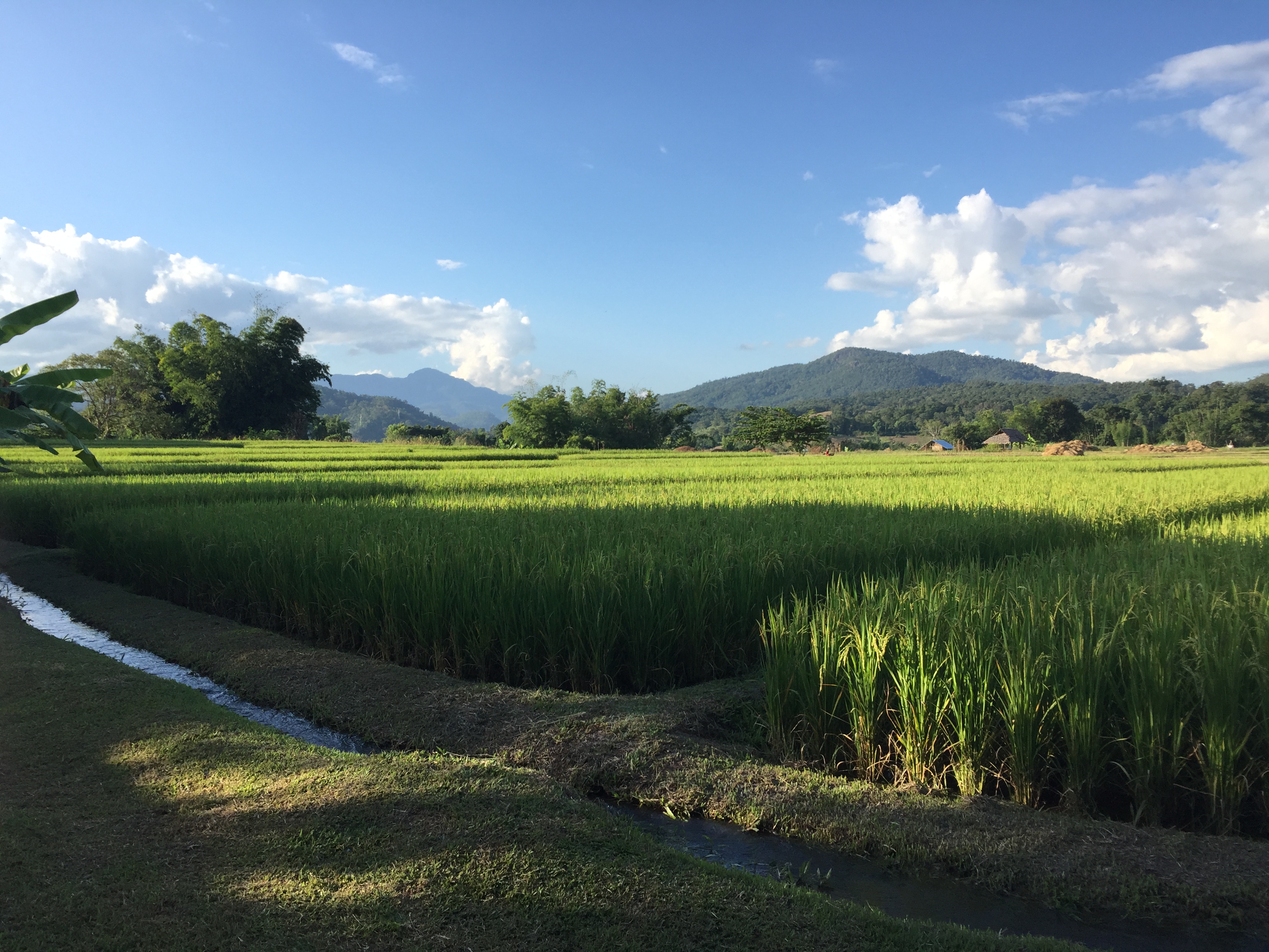 media_SYVFC76J6RX3LWQ5