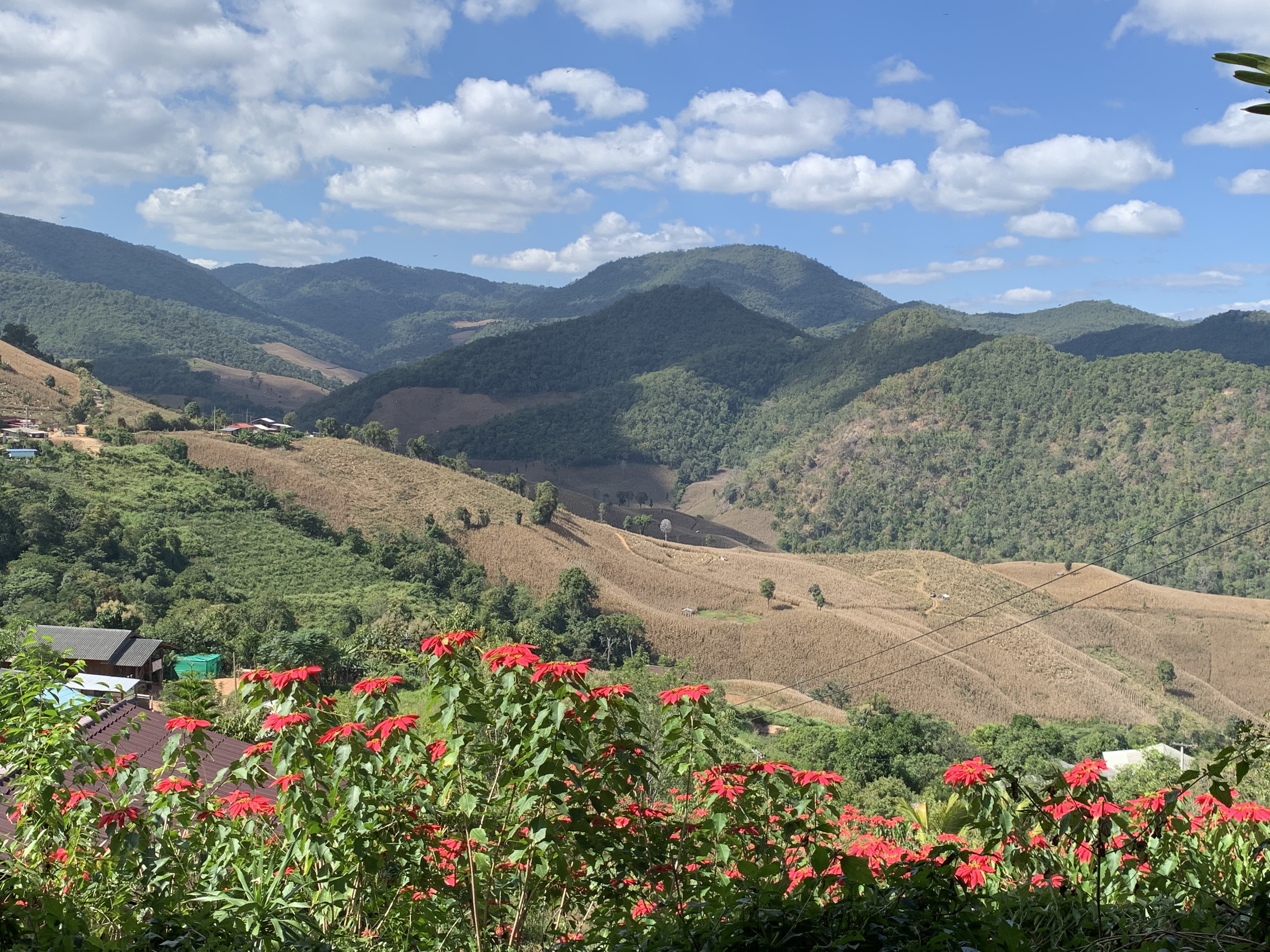 media_T8PPKNFWGGM6ACKS