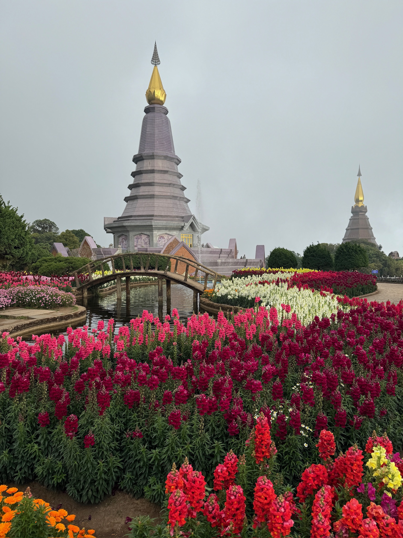 media_VEZQRMJ547533W58