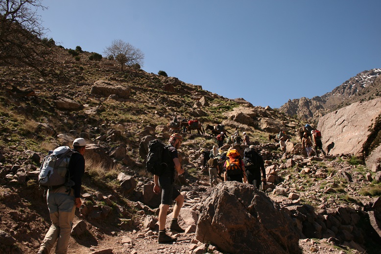 media_4BEUXVNJTTR2788D