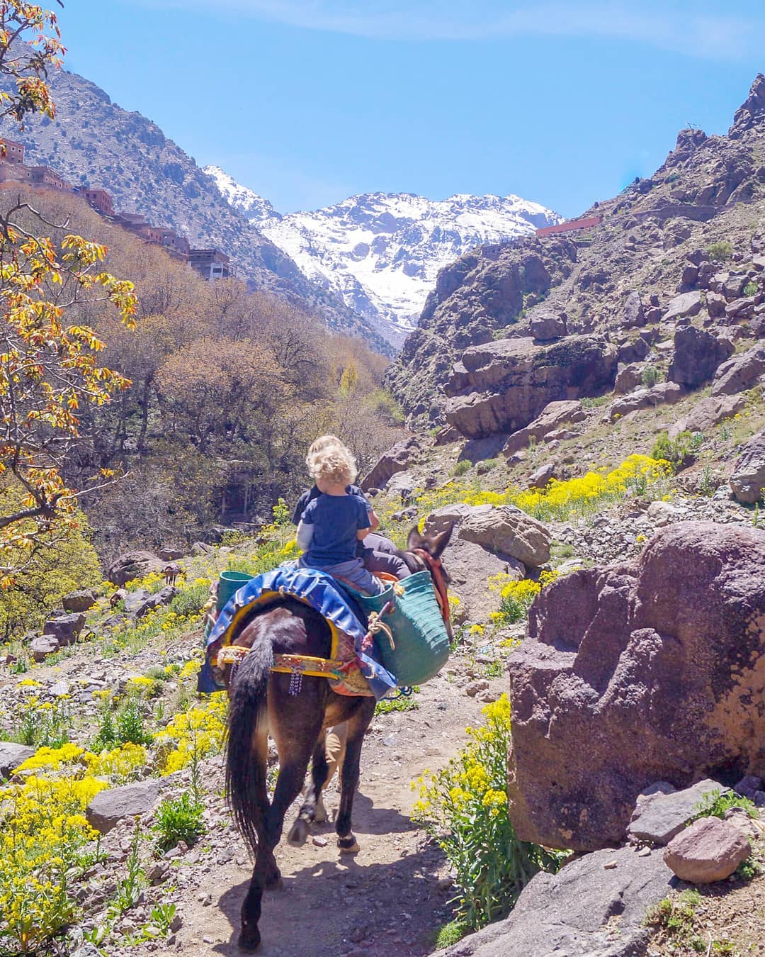 media_LR4X8KVXV6A27F86