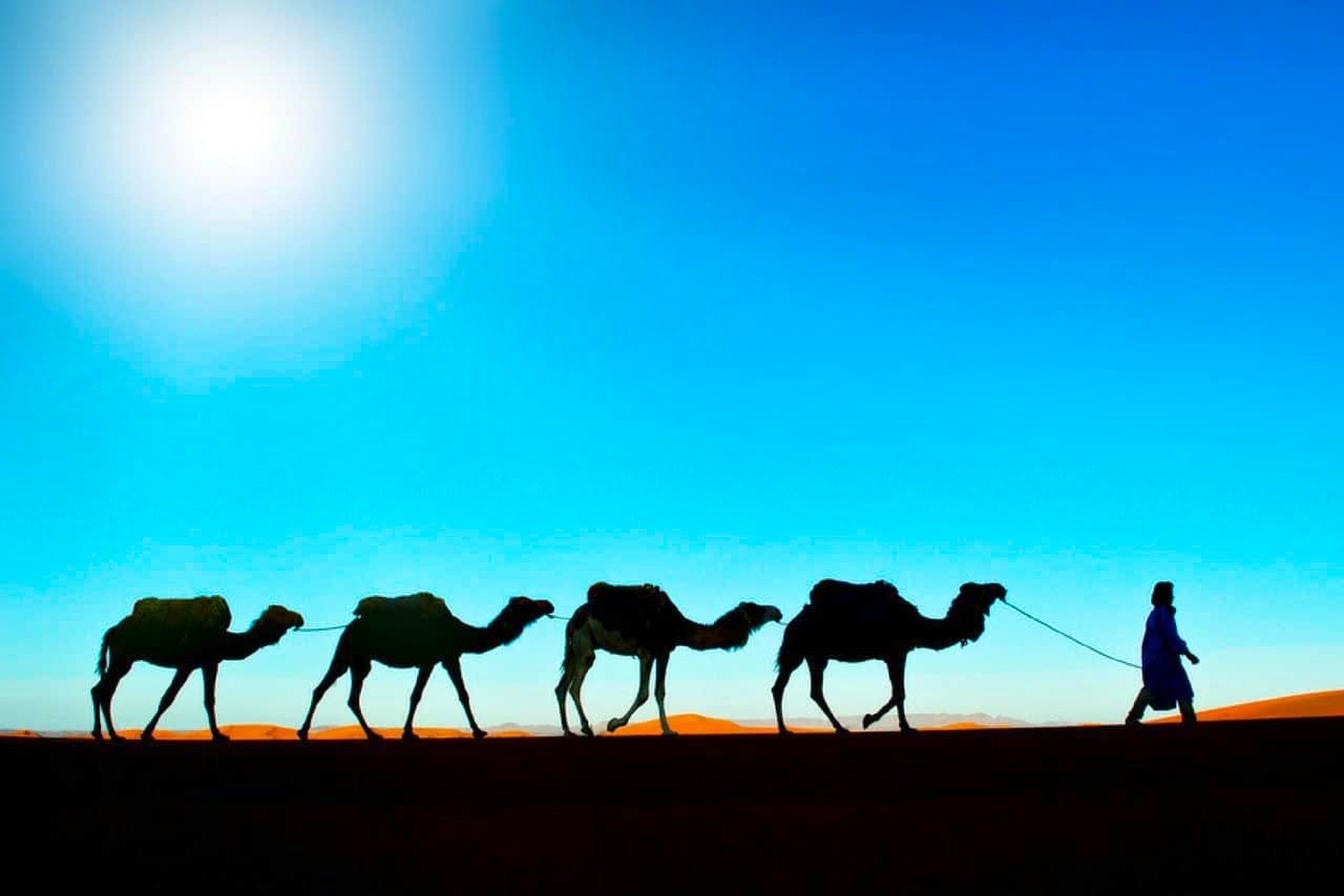 3 Days desert trip Marrakech to Merzouga with Camel Trek