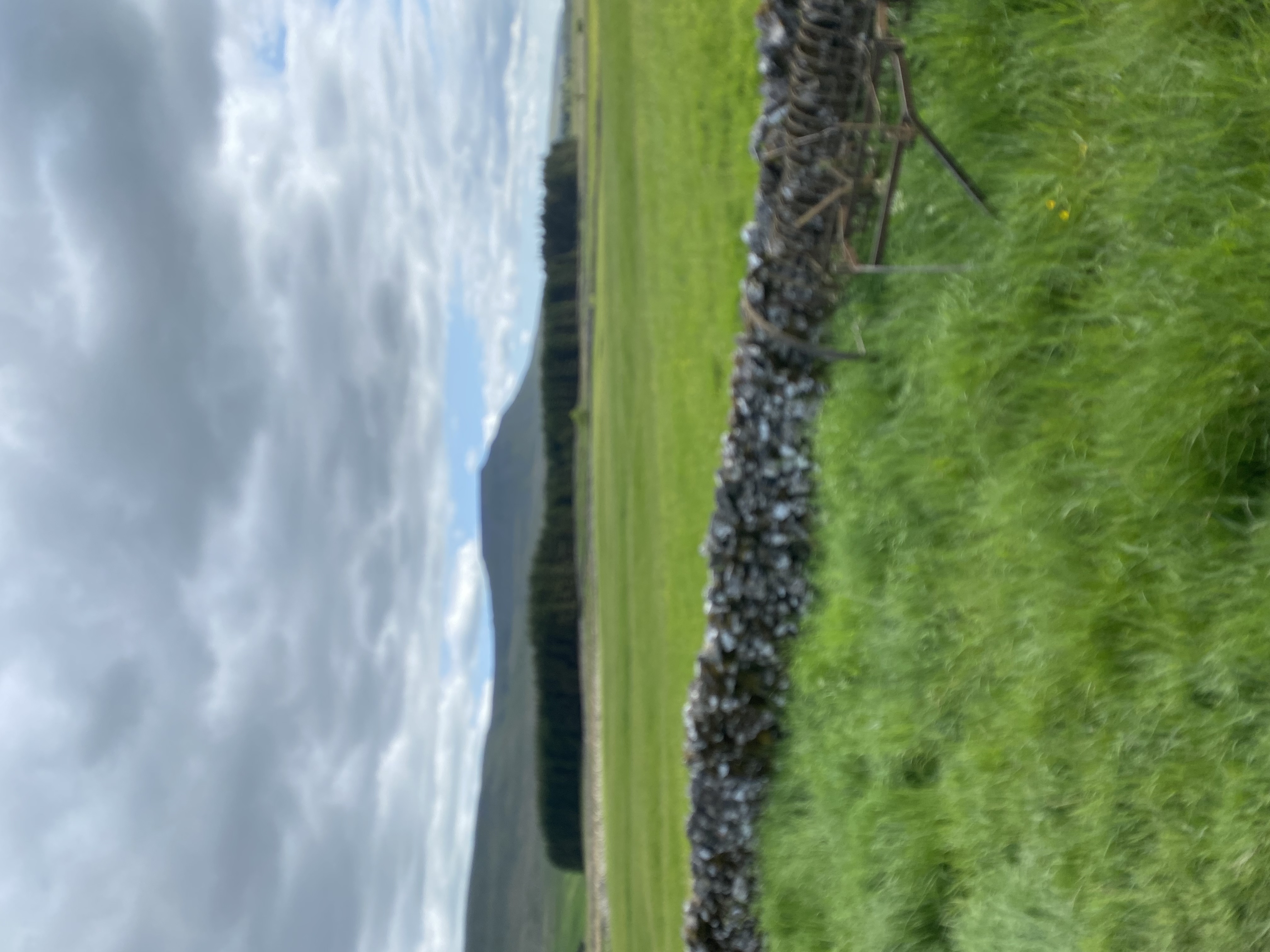 media_5BKUT6WW3Q9LS2WW