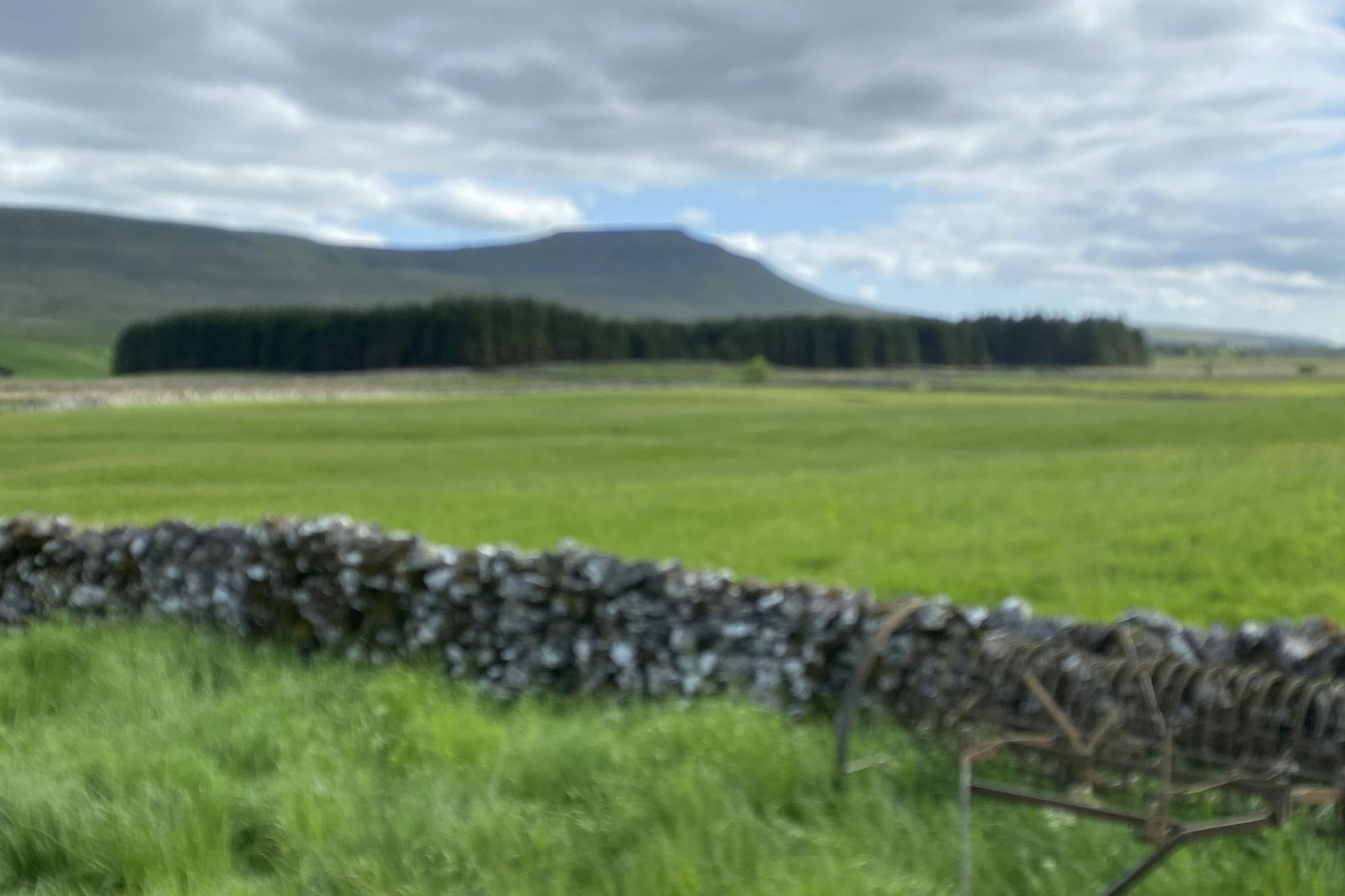 media_5BKUT6WW3Q9LS2WW