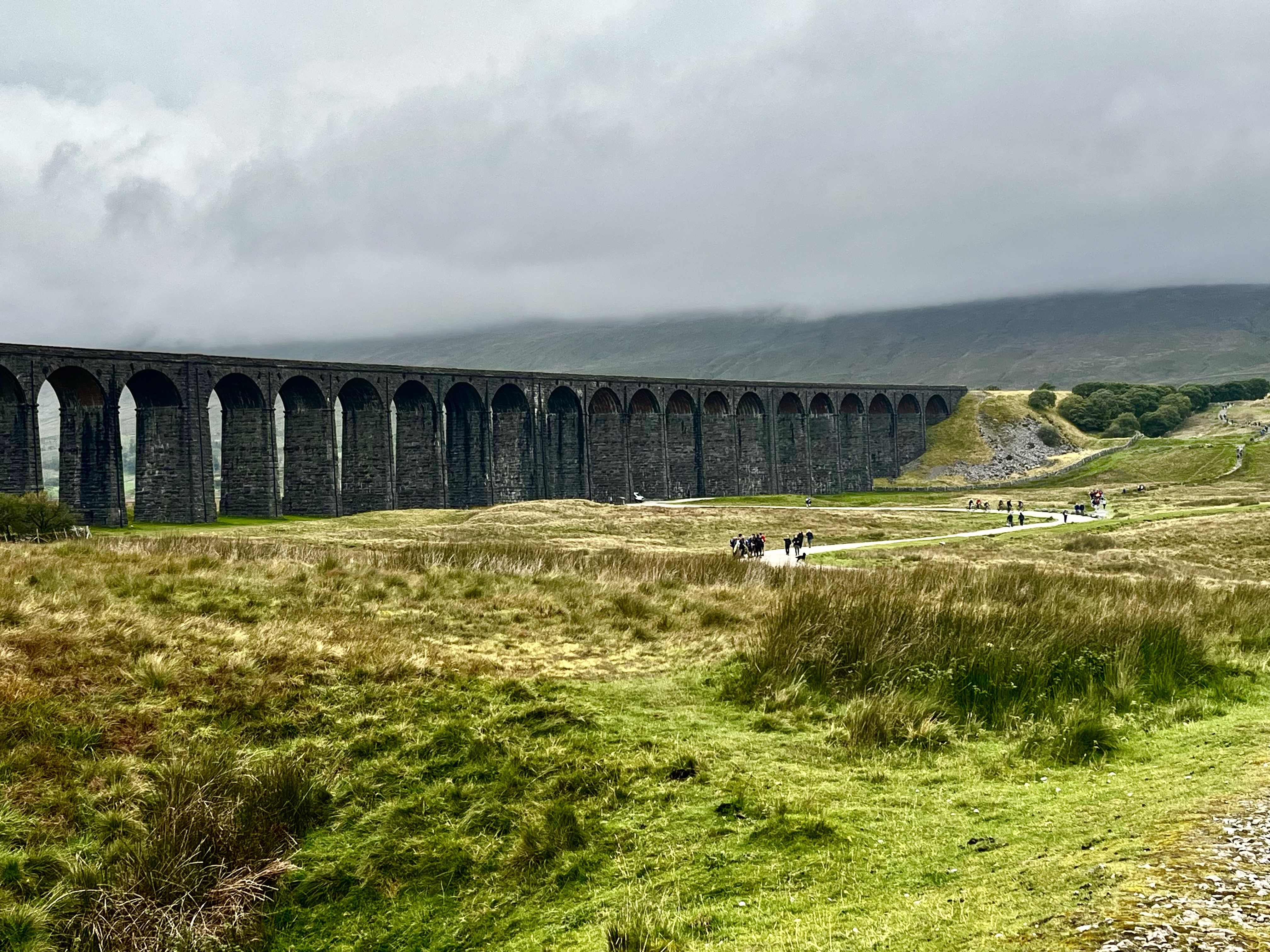 media_DZ8J88JTBUCUYKJB