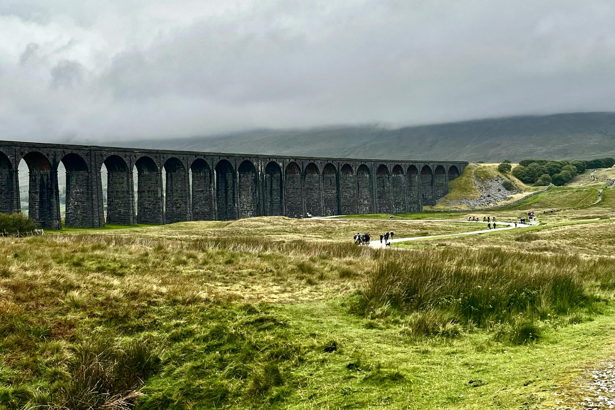 media_DZ8J88JTBUCUYKJB