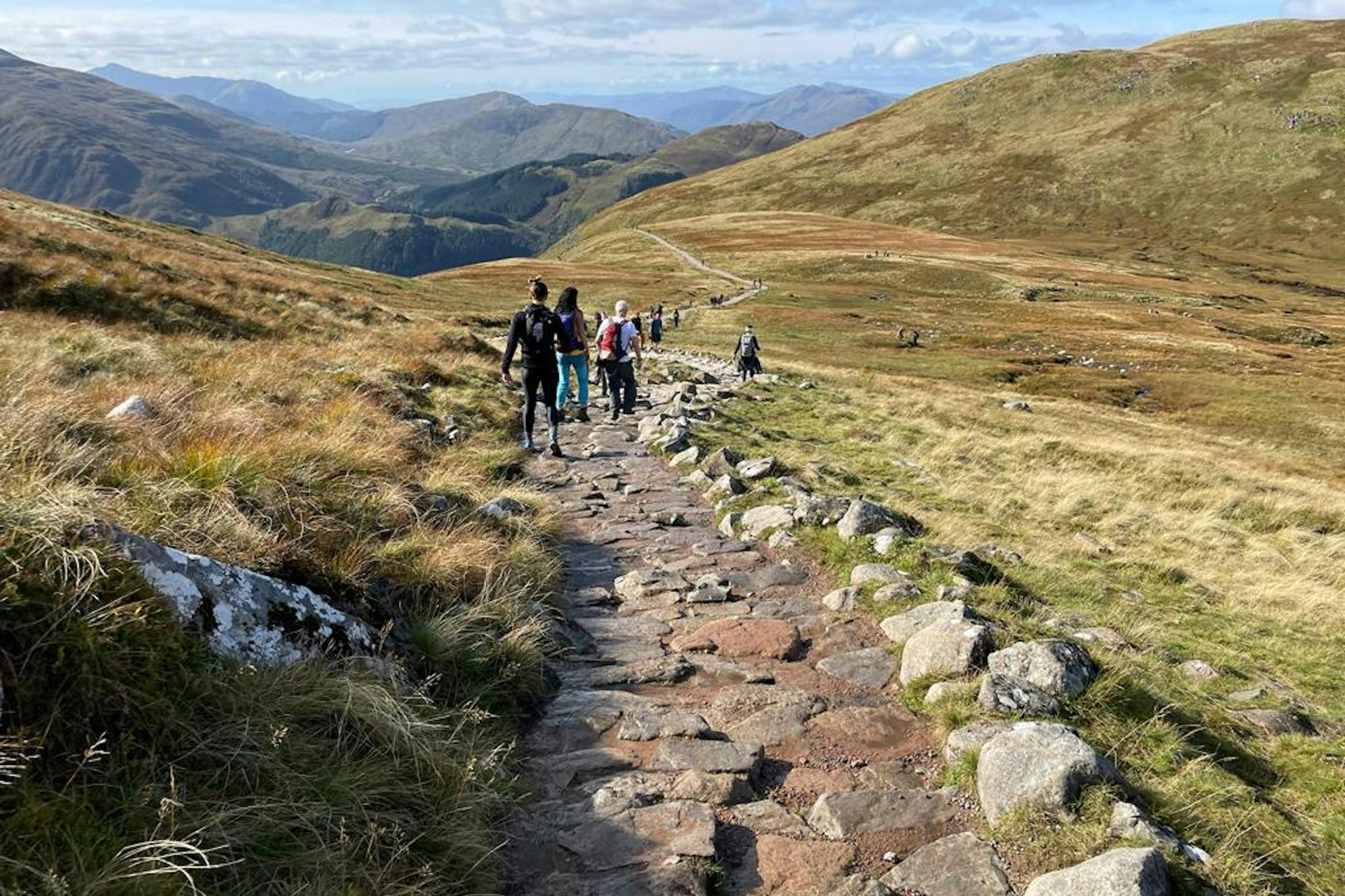 media_WRDGD7YRP2TLFWC8