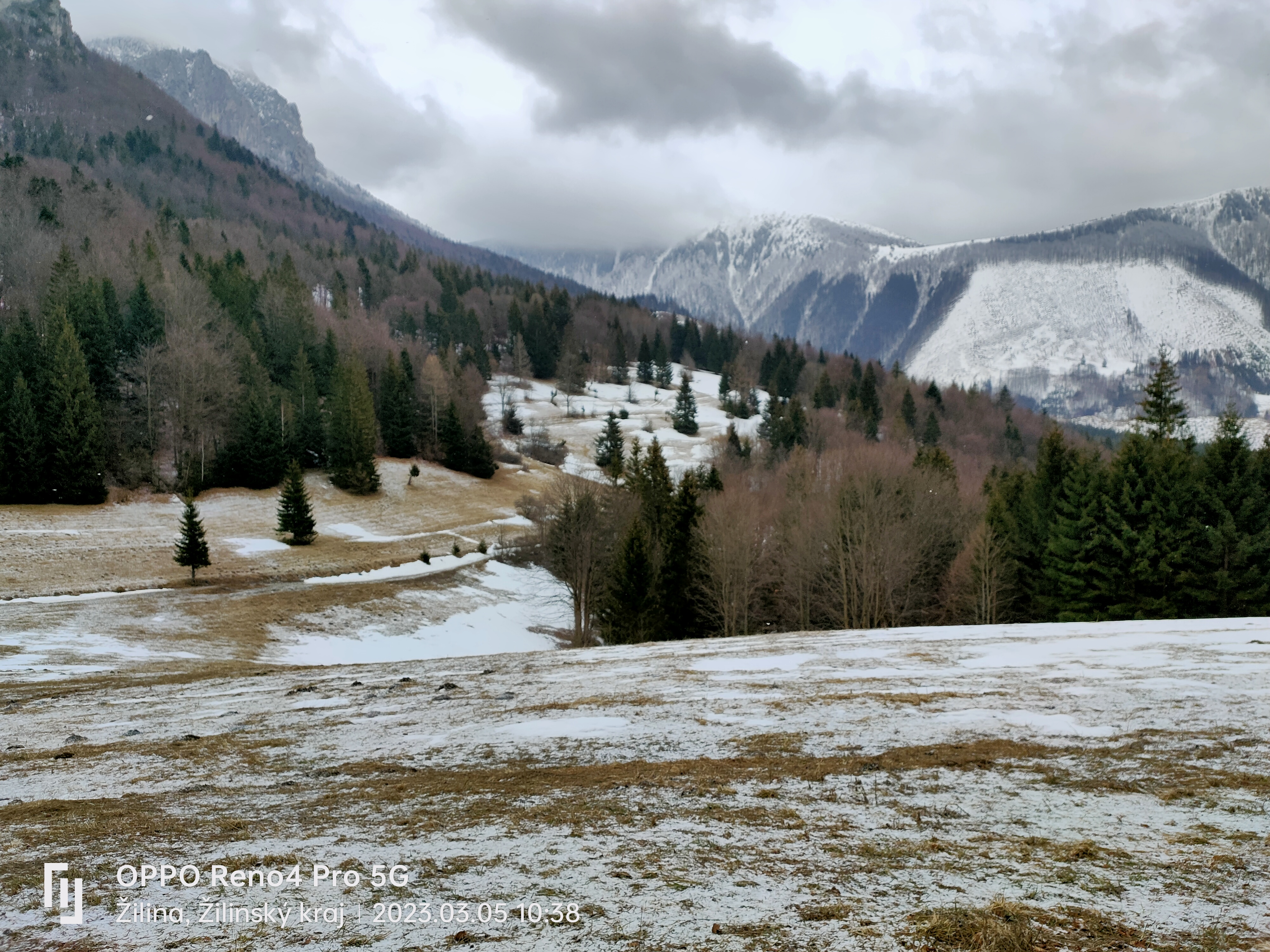 media_3NQ4H3J8LPNNZQ8F