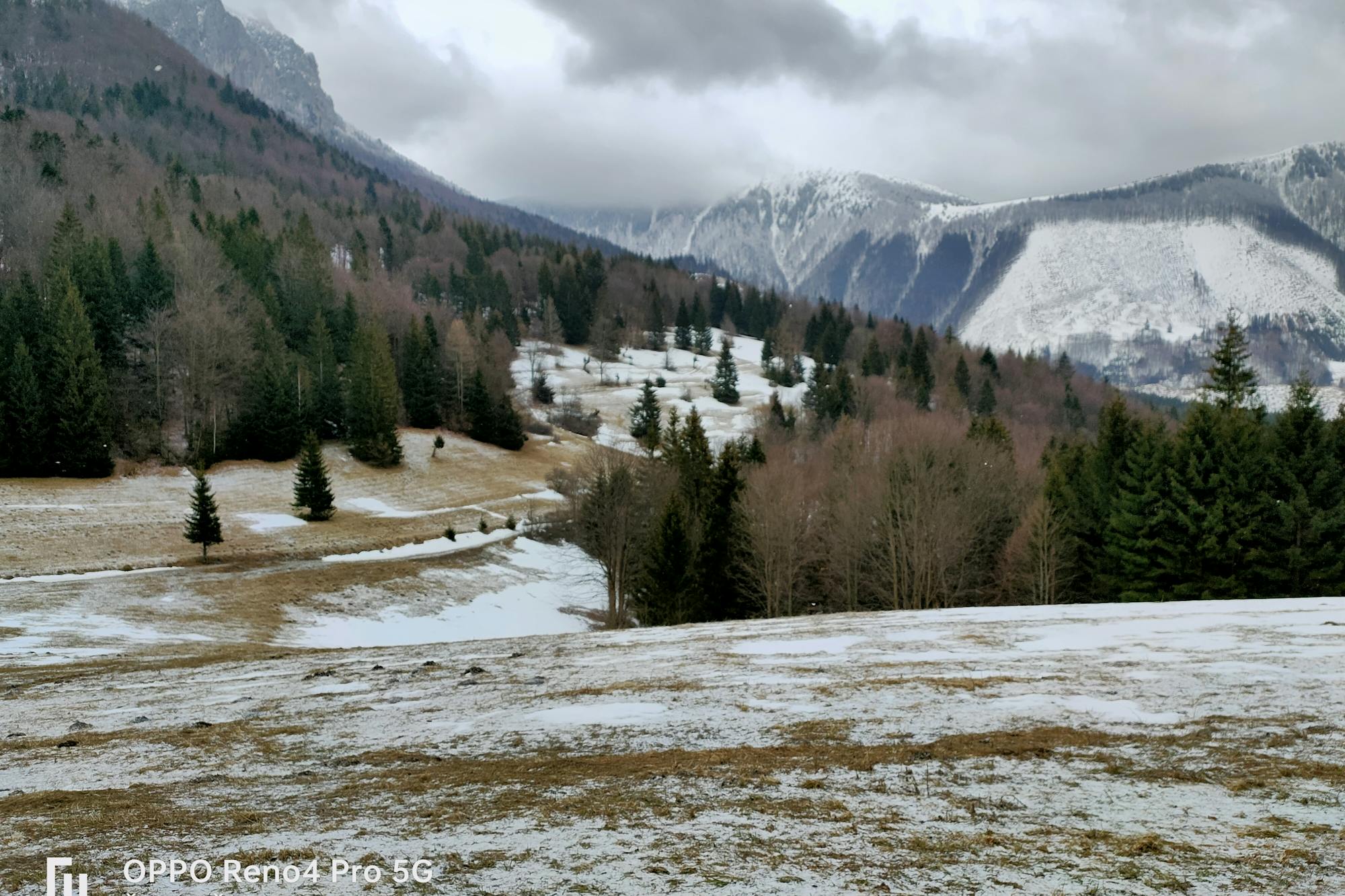 media_3NQ4H3J8LPNNZQ8F