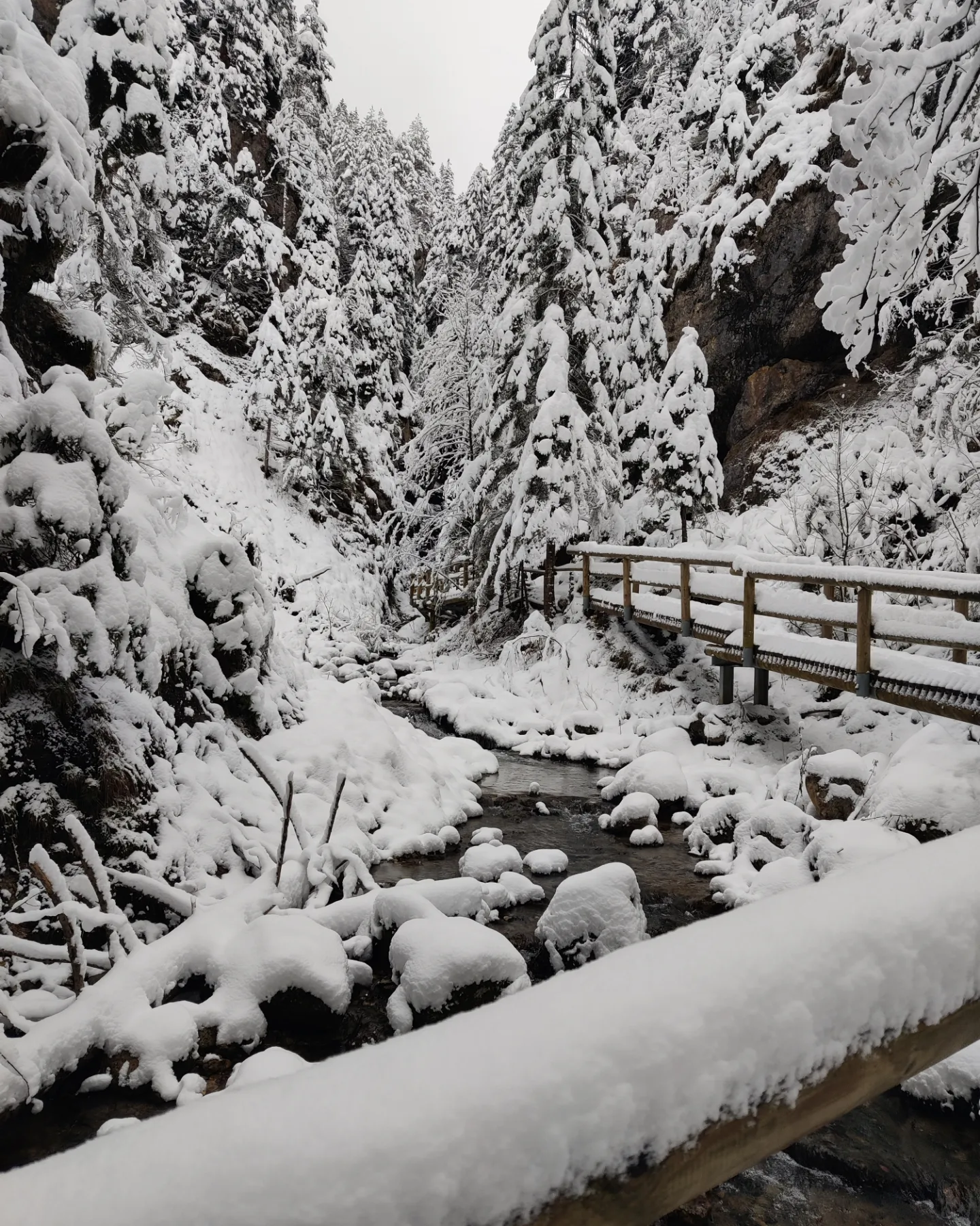 media_FQJZBAPU95P8DUJ7